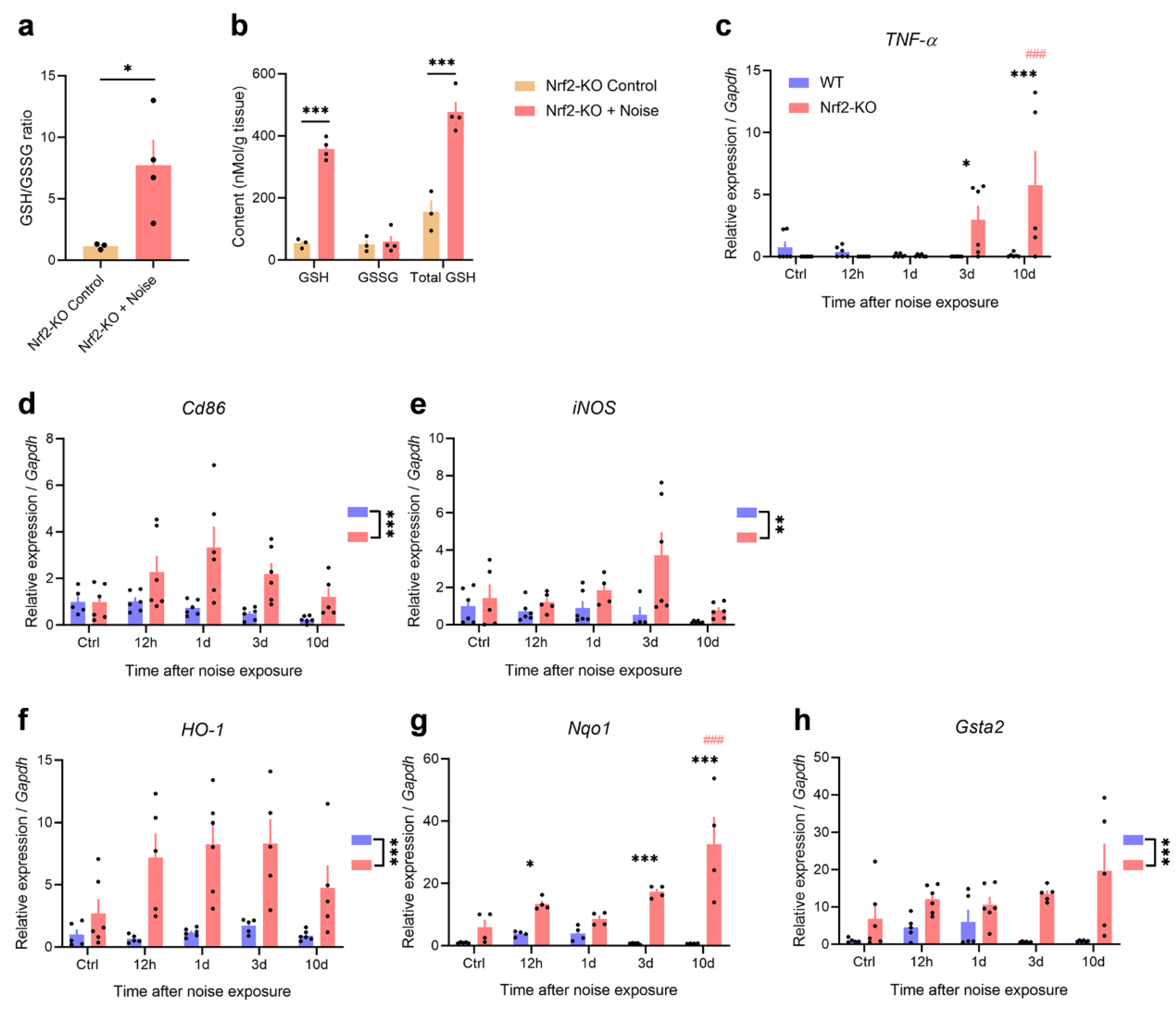 Preprints 143832 g007