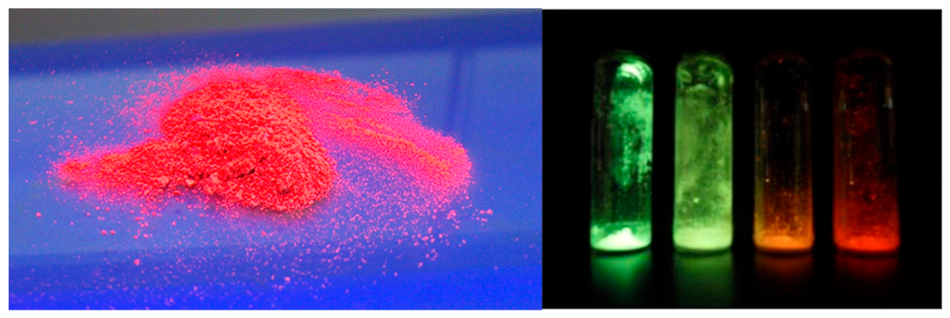 Preprints 236043 g004