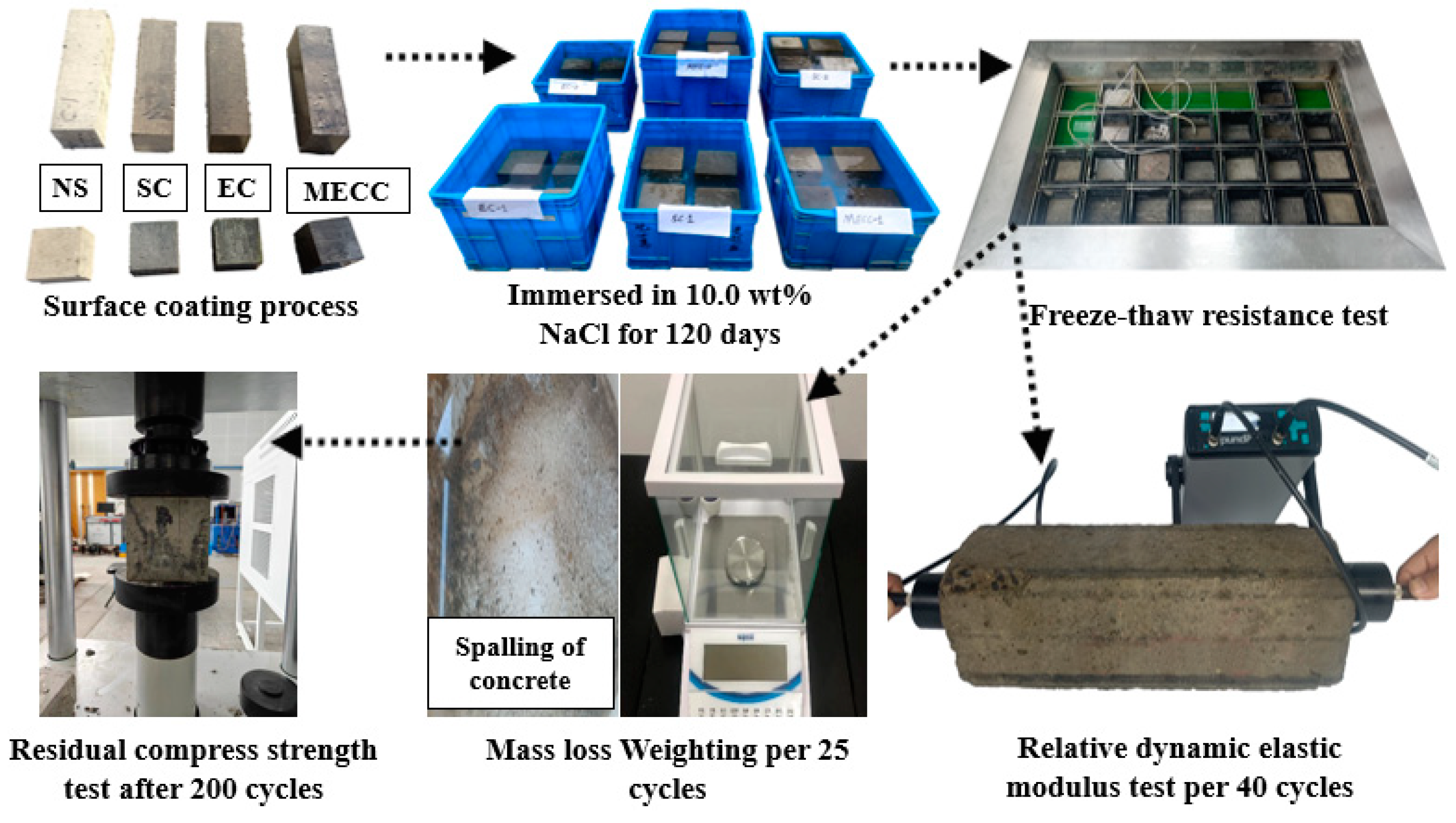 Preprints 145319 g001