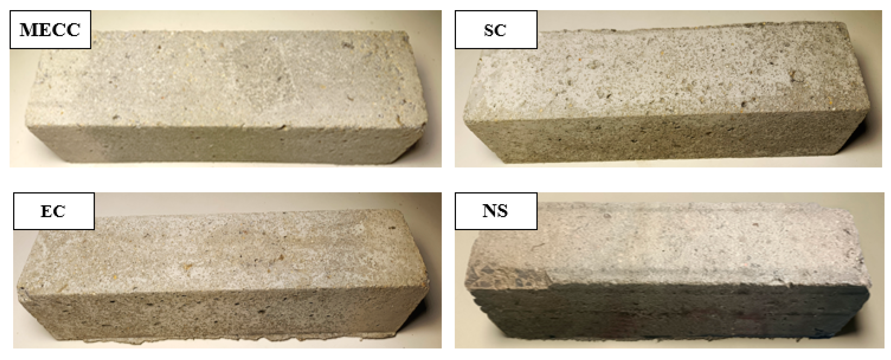 Preprints 145319 g005
