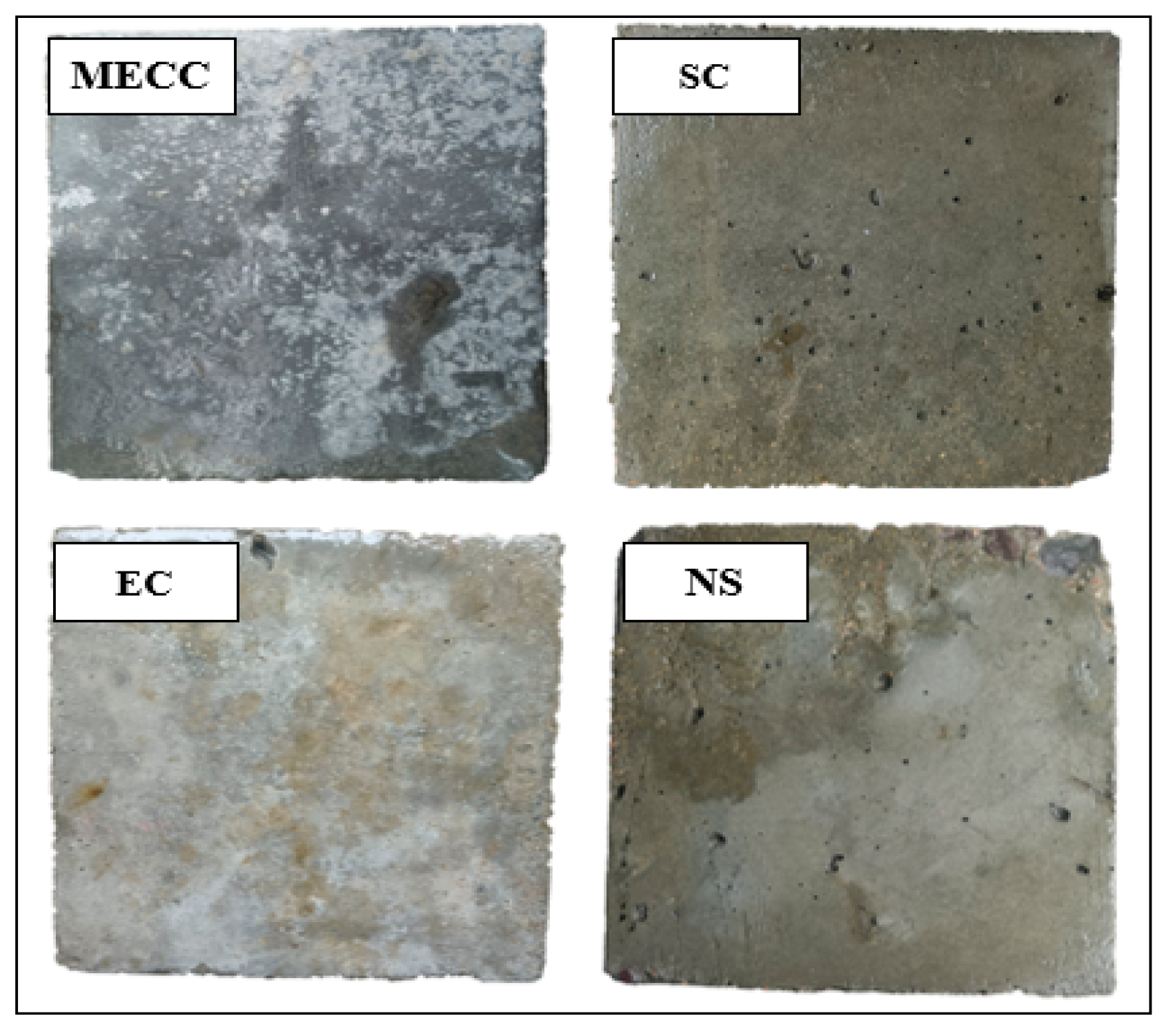 Preprints 145319 g007