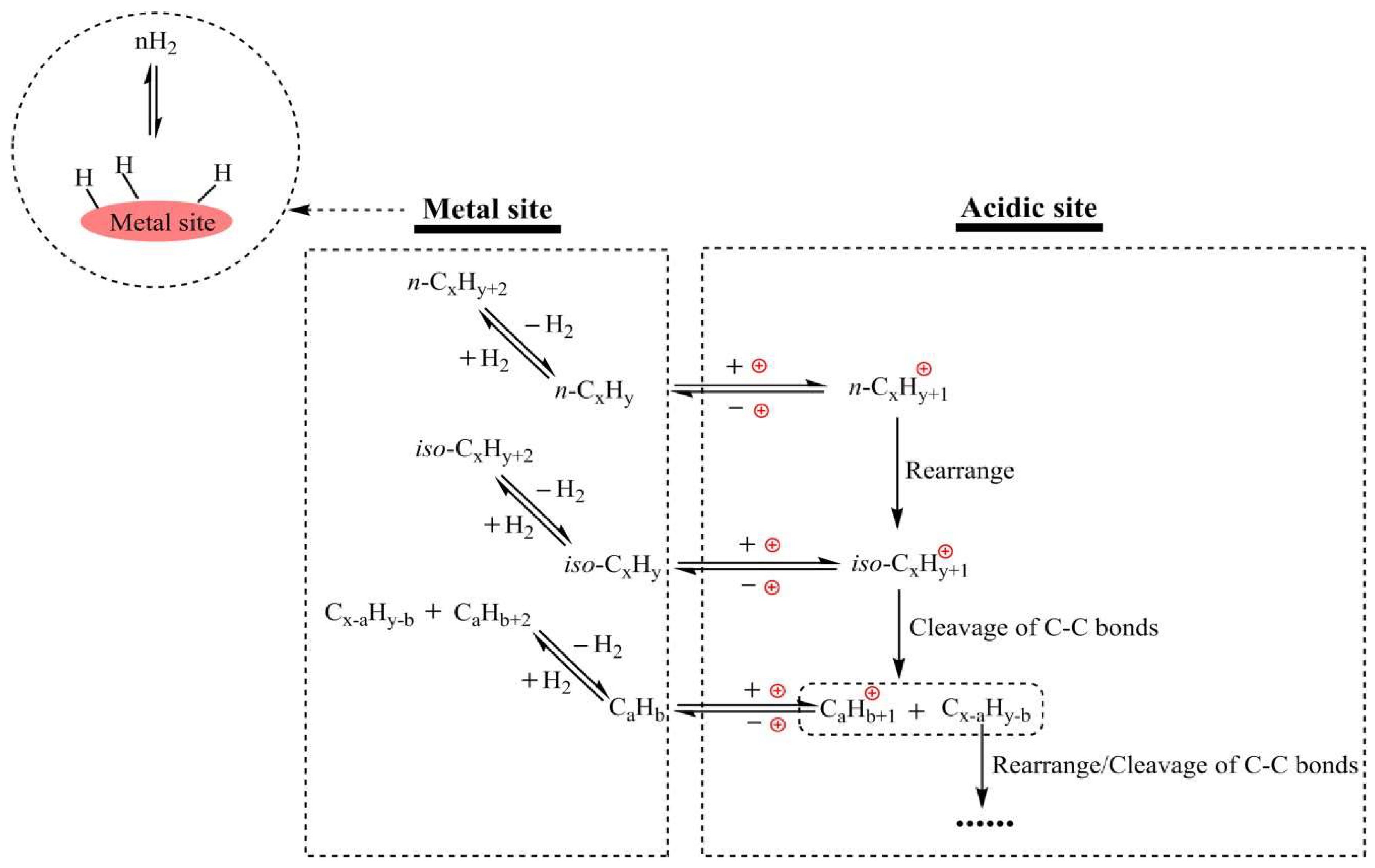 Preprints 148146 g003