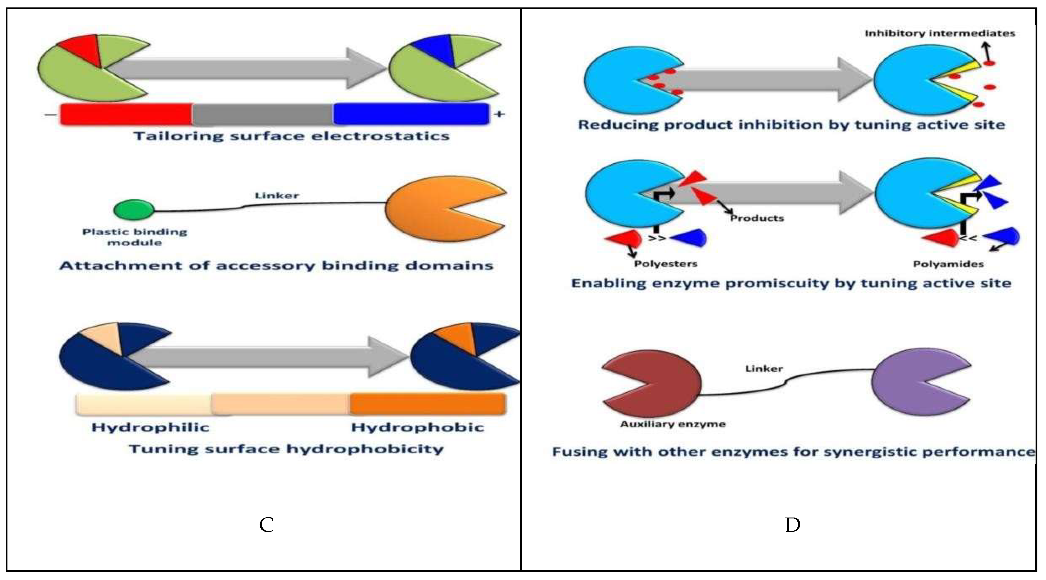 Preprints 148146 g005b