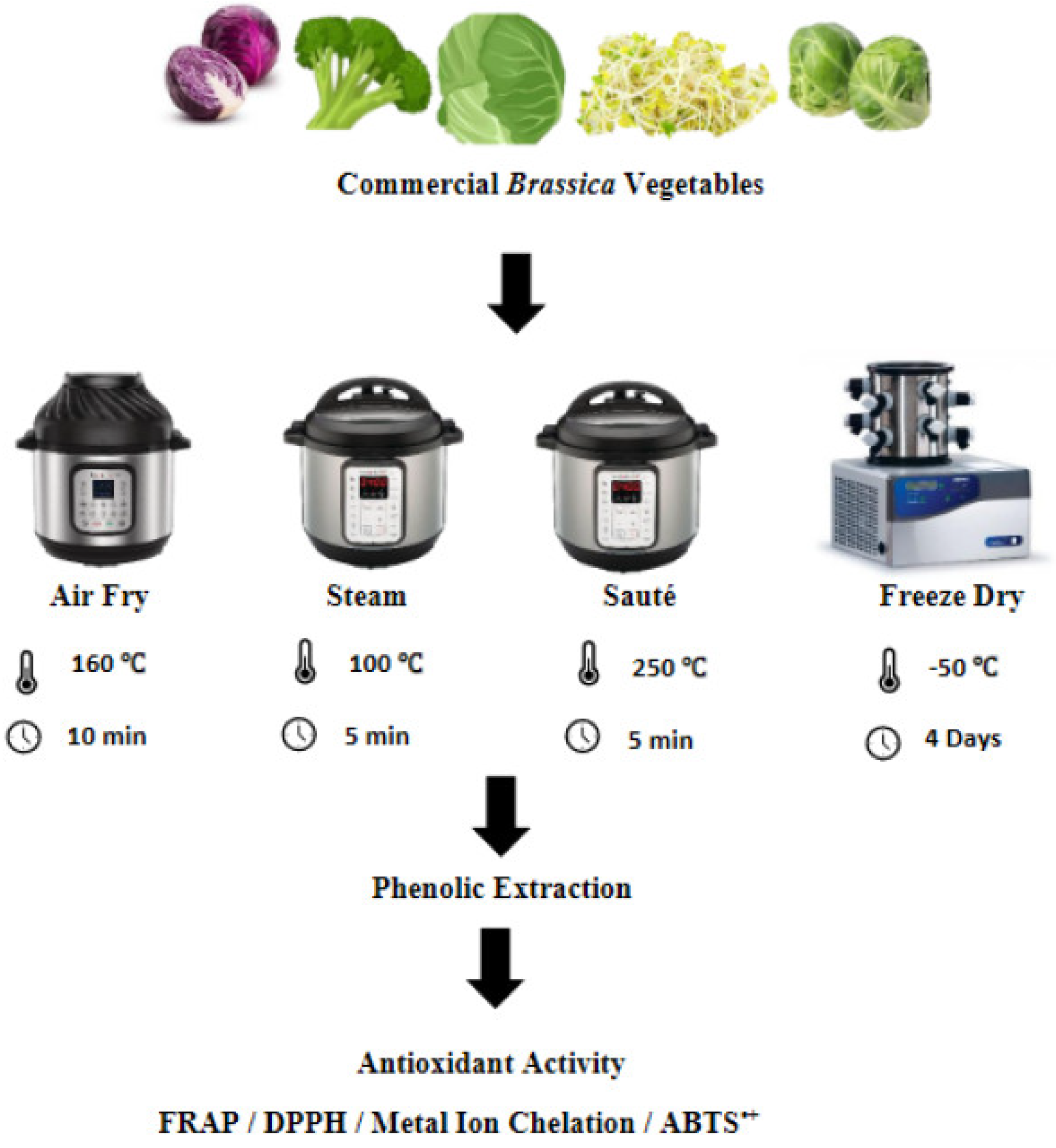 Preprints 68062 g001