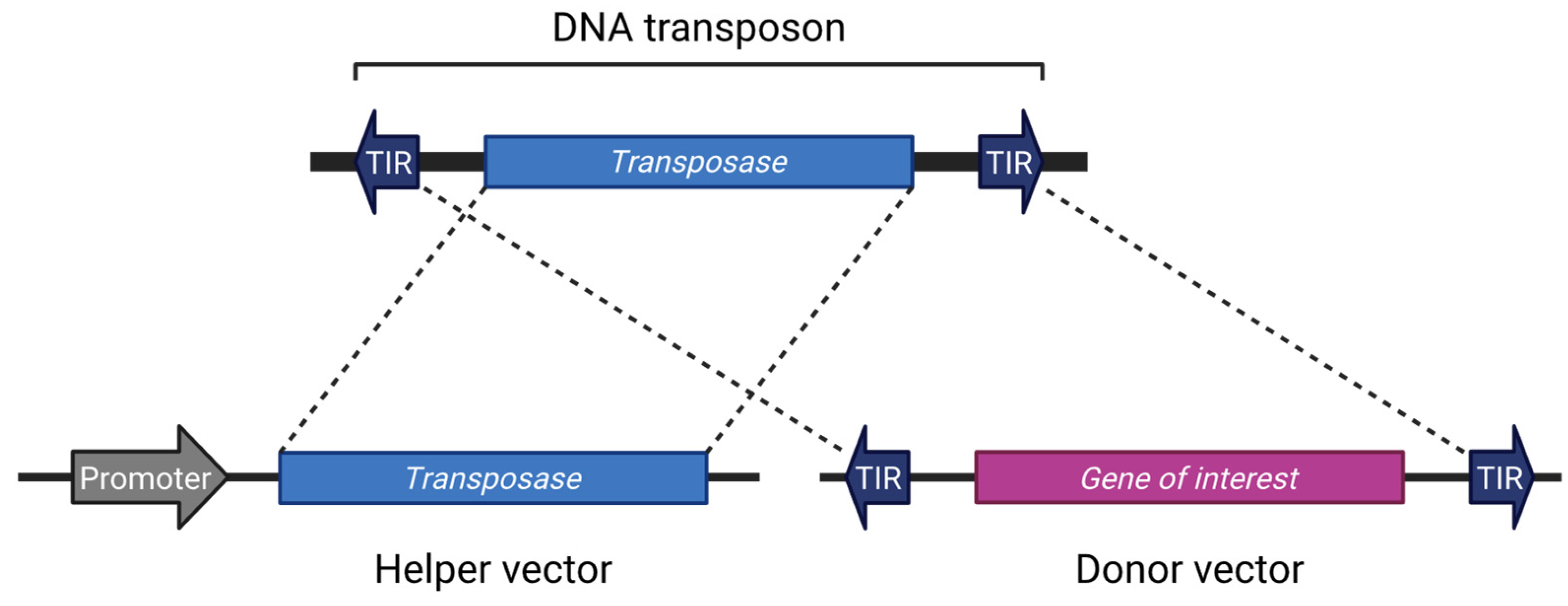 Preprints 160235 g001