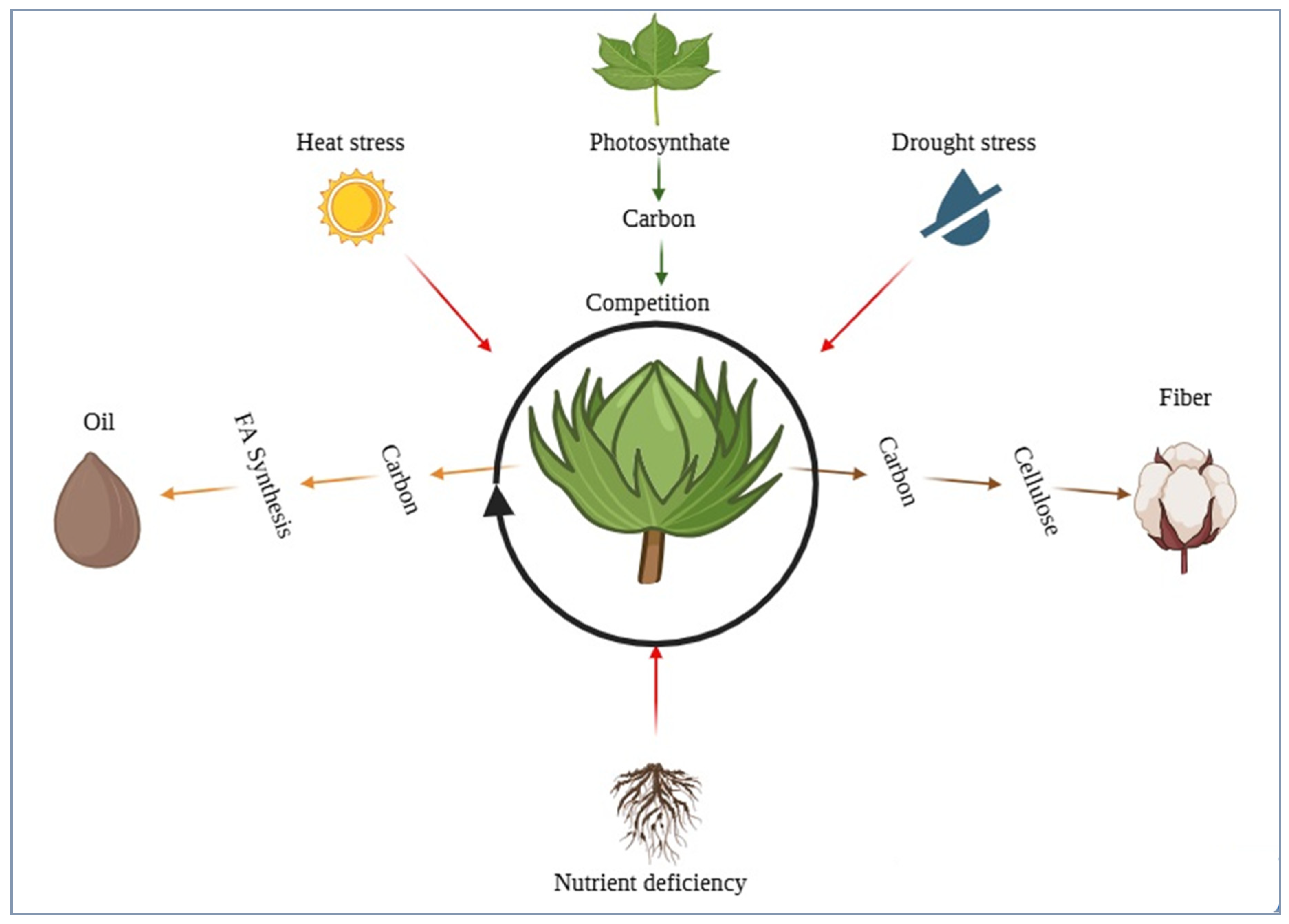 Preprints 184388 g003