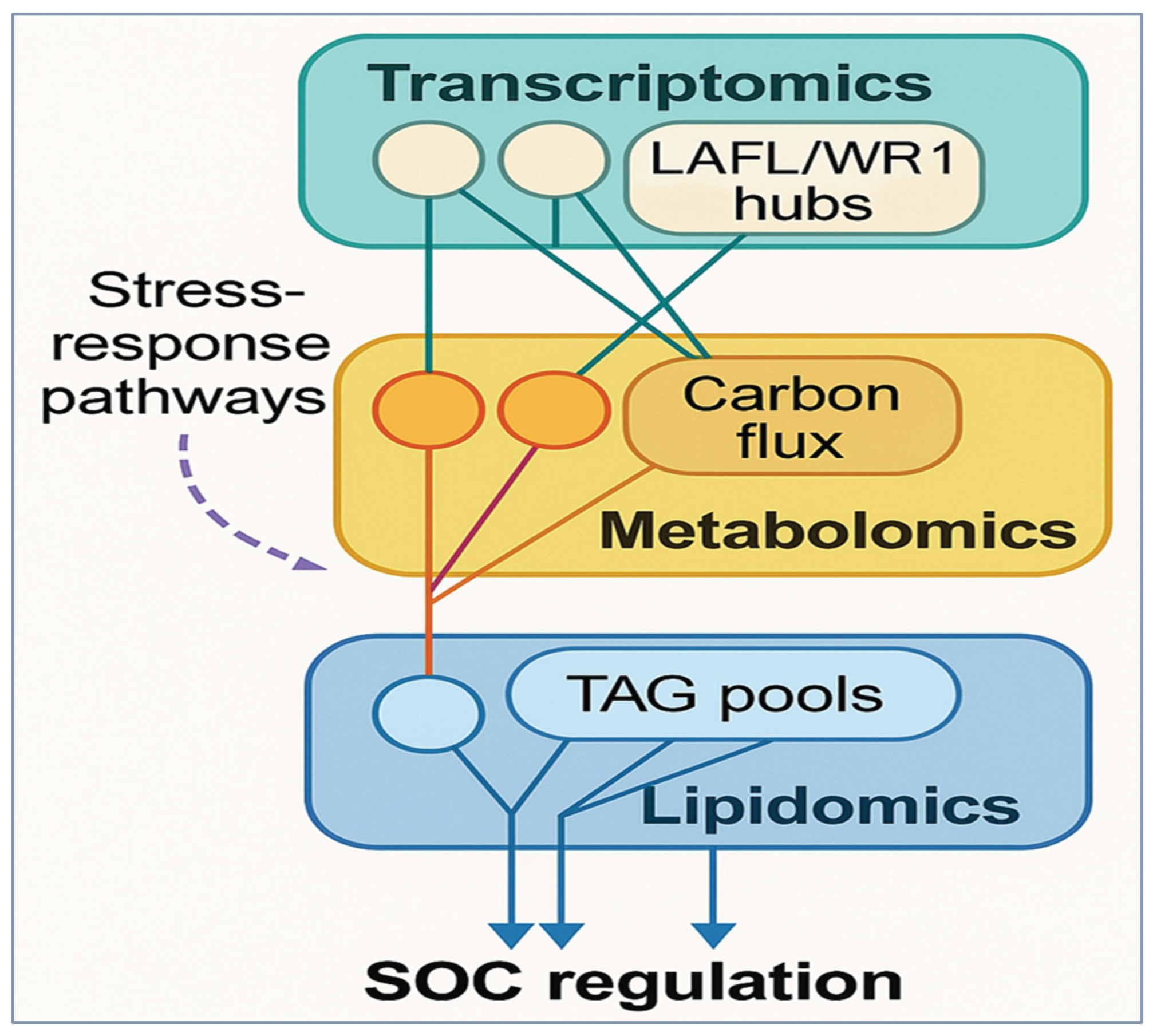 Preprints 184388 g004