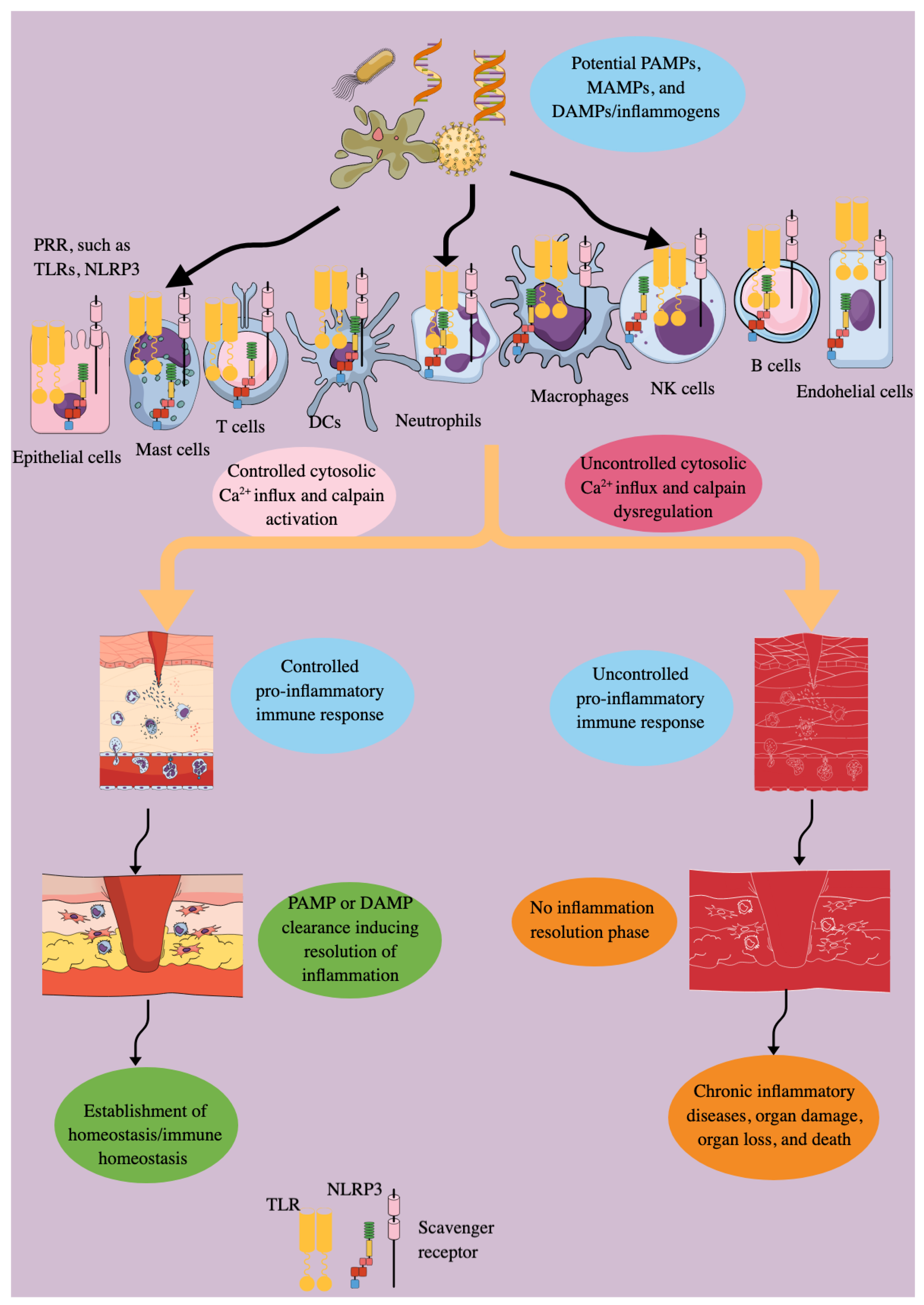 Preprints 178524 g001
