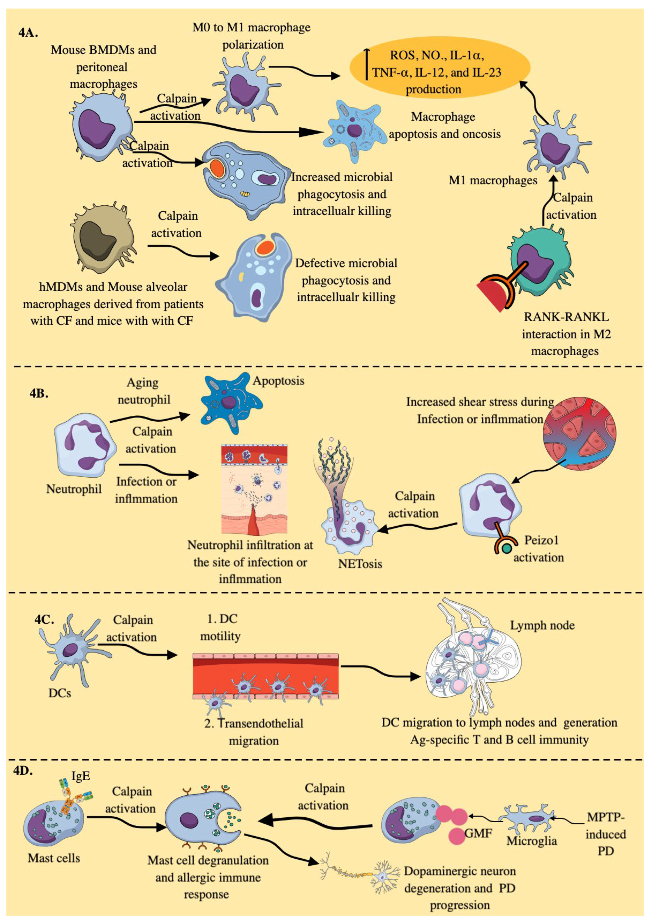 Preprints 178524 g004