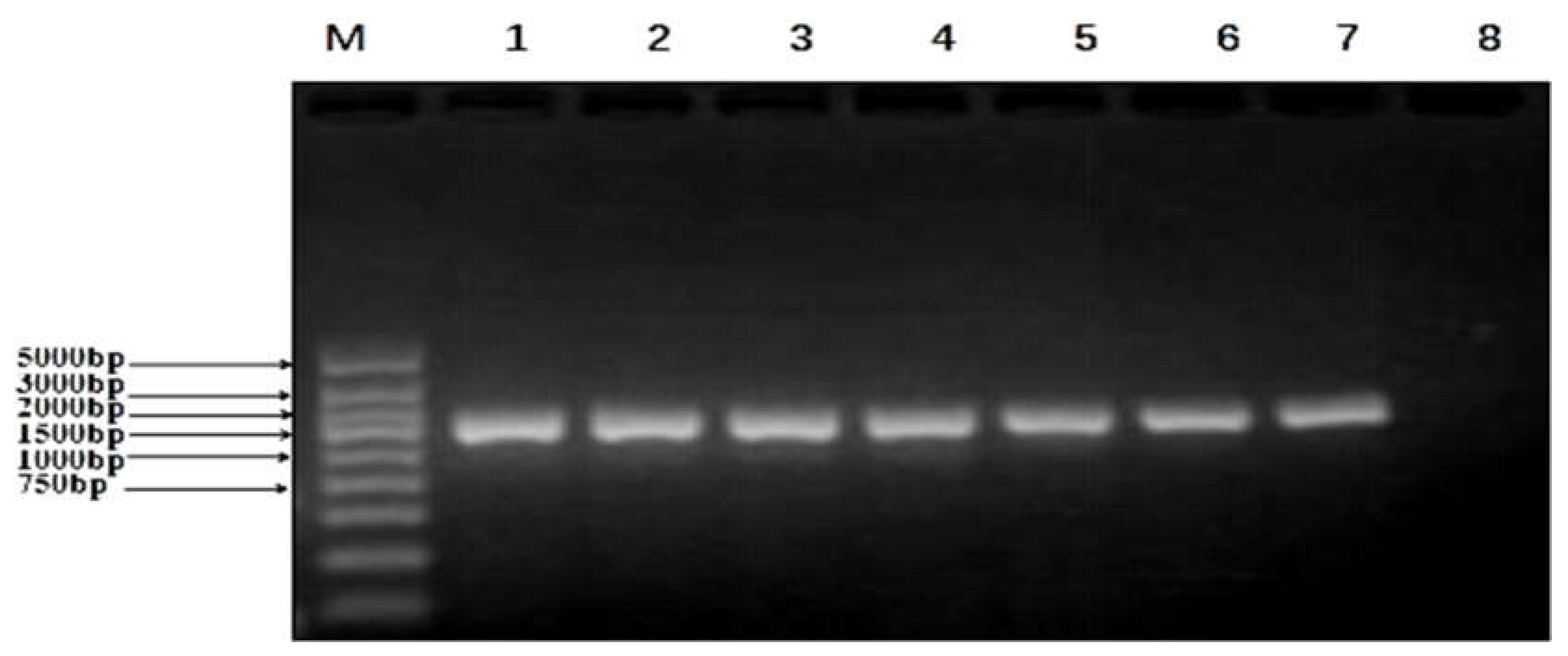 Preprints 156713 g002