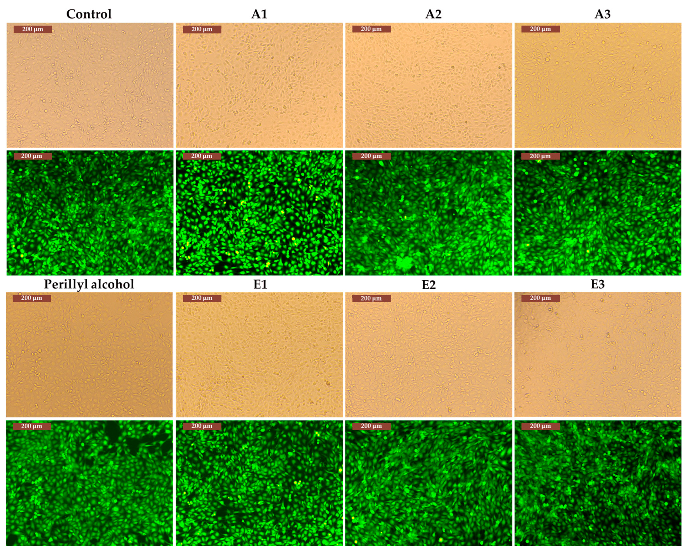 Preprints 91327 g011