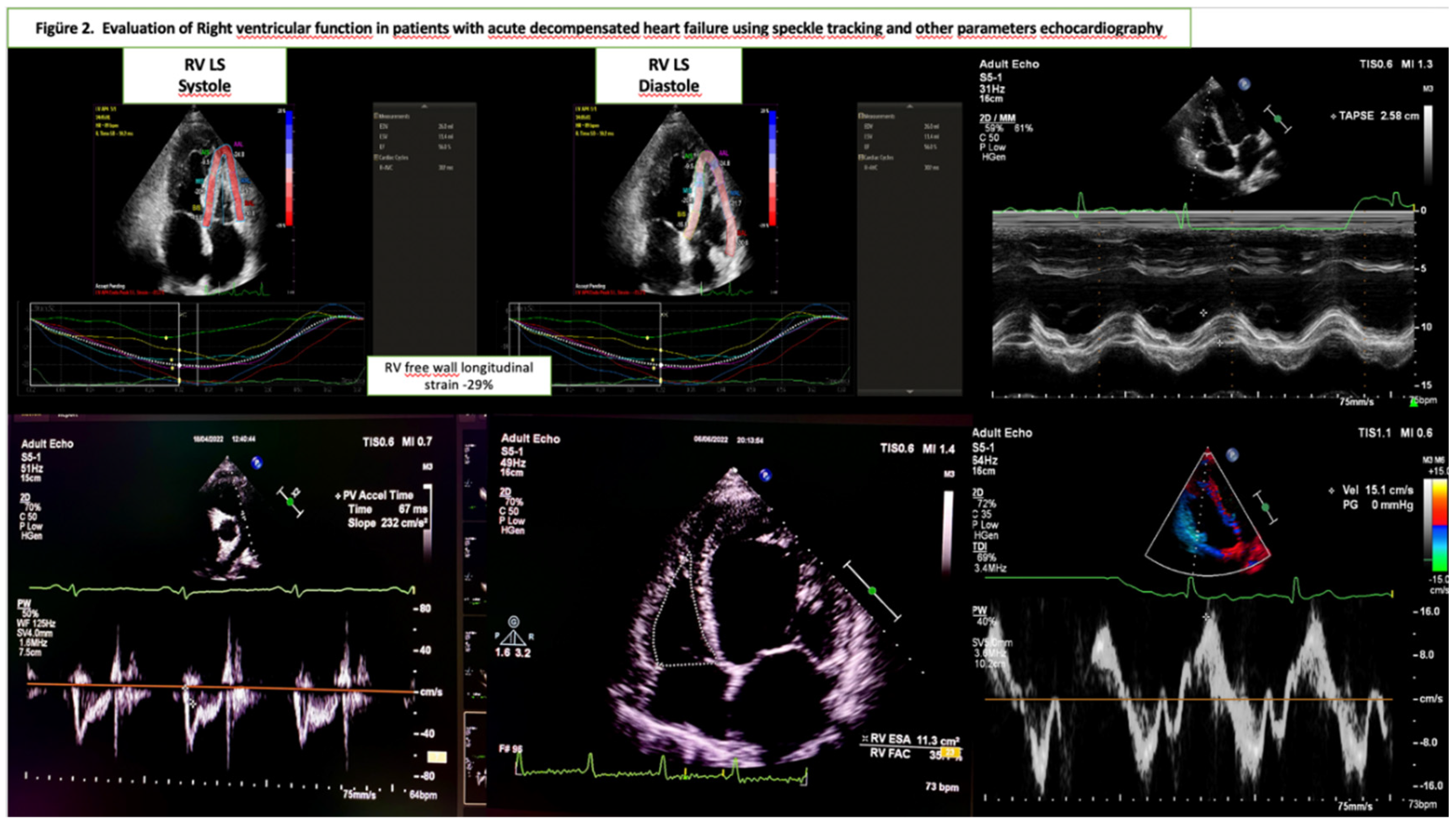Preprints 164778 g002