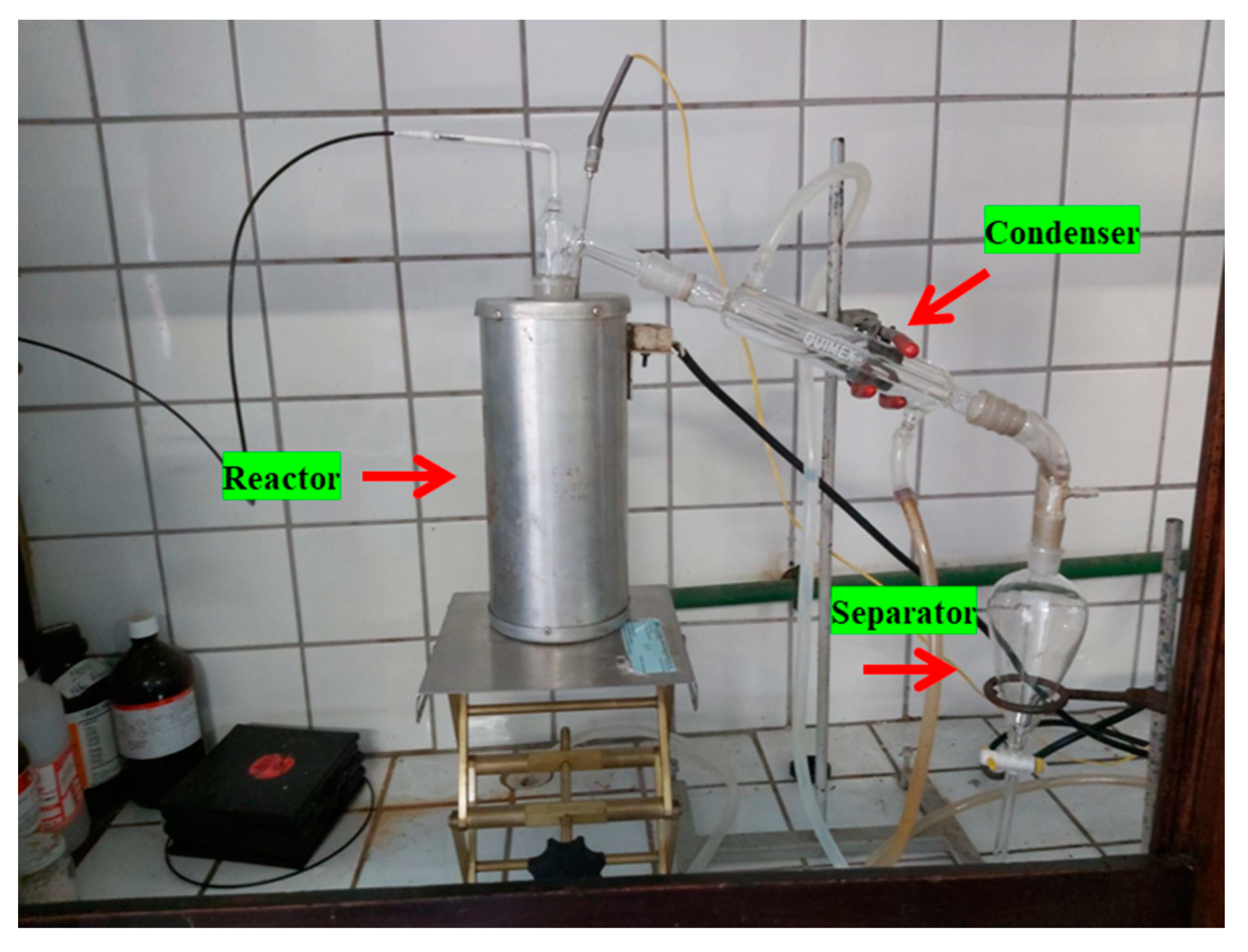 Preprints 102560 g004