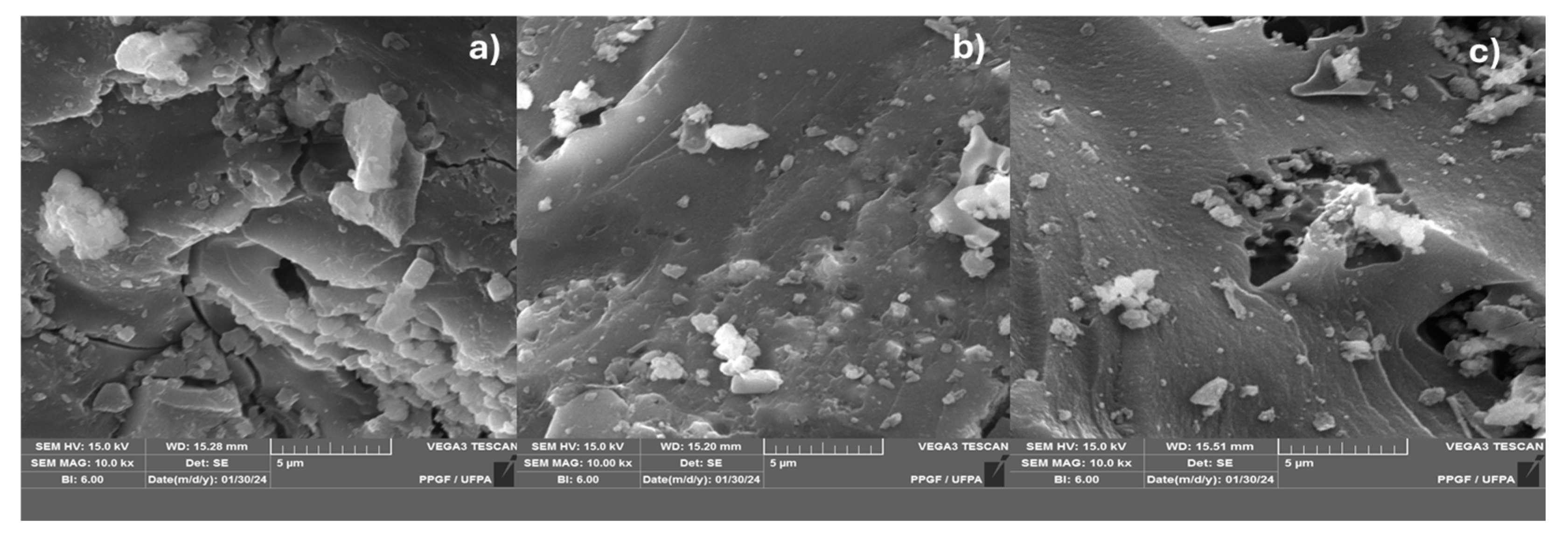 Preprints 102560 g005