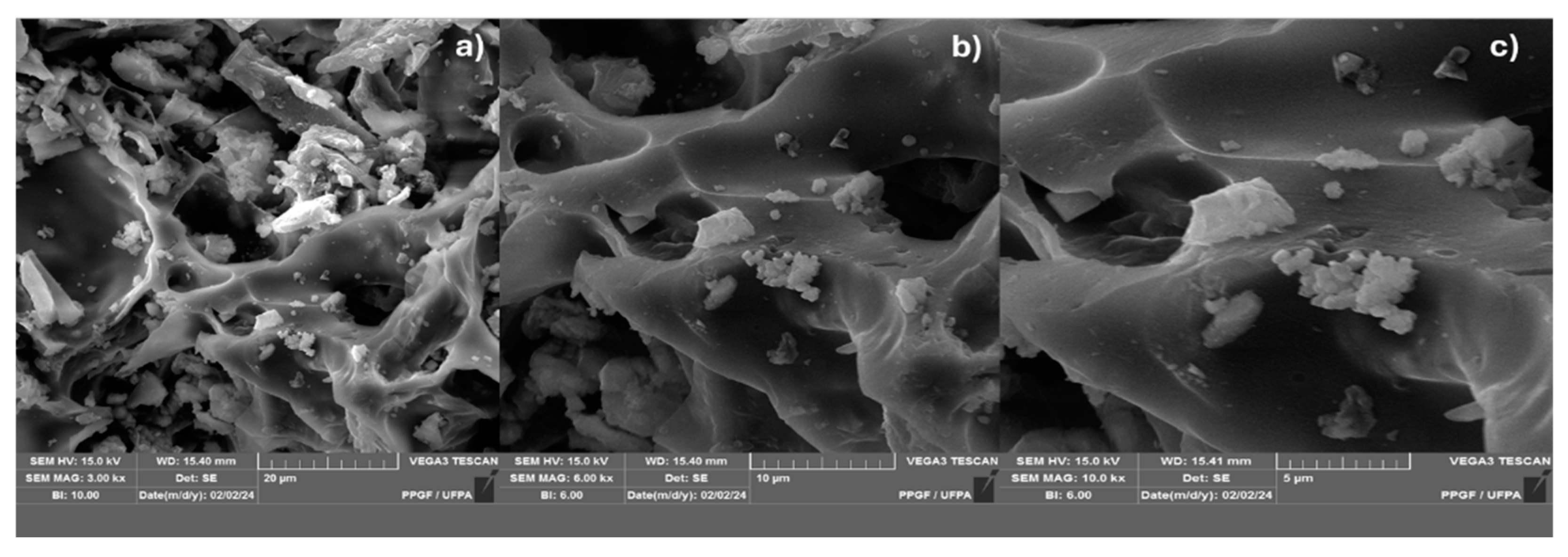 Preprints 102560 g006
