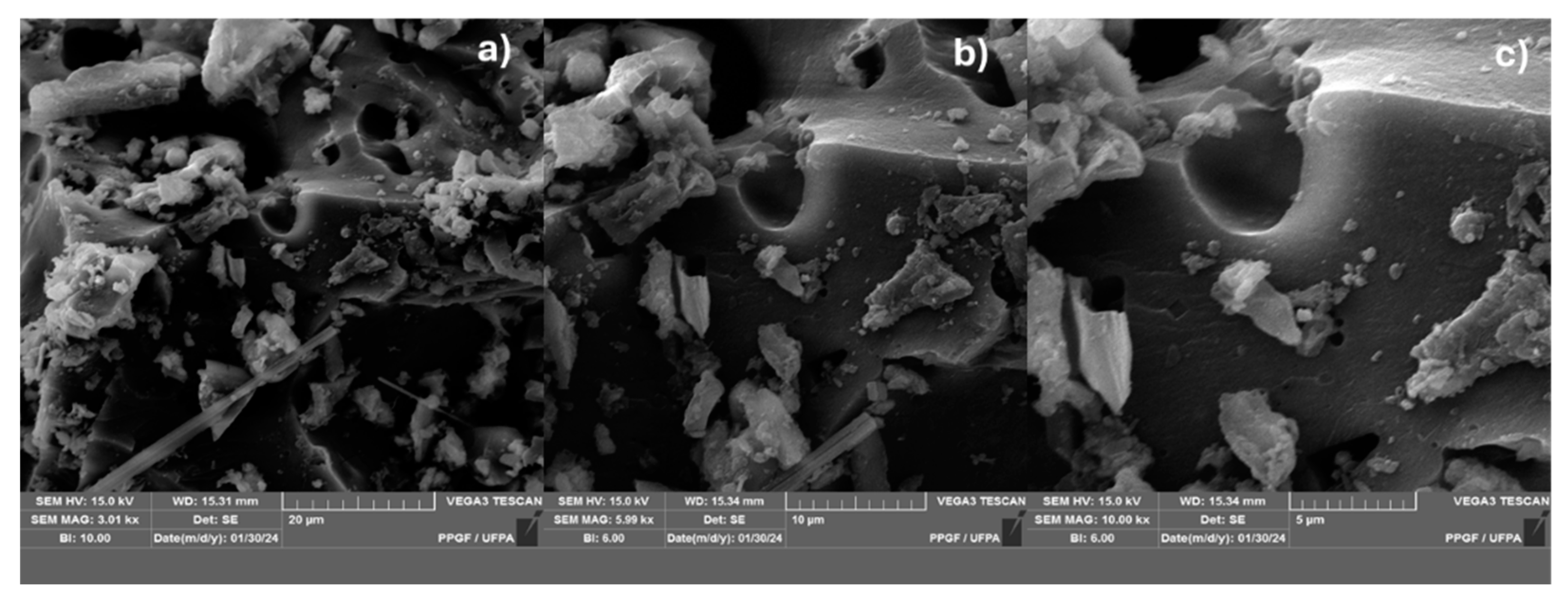 Preprints 102560 g007
