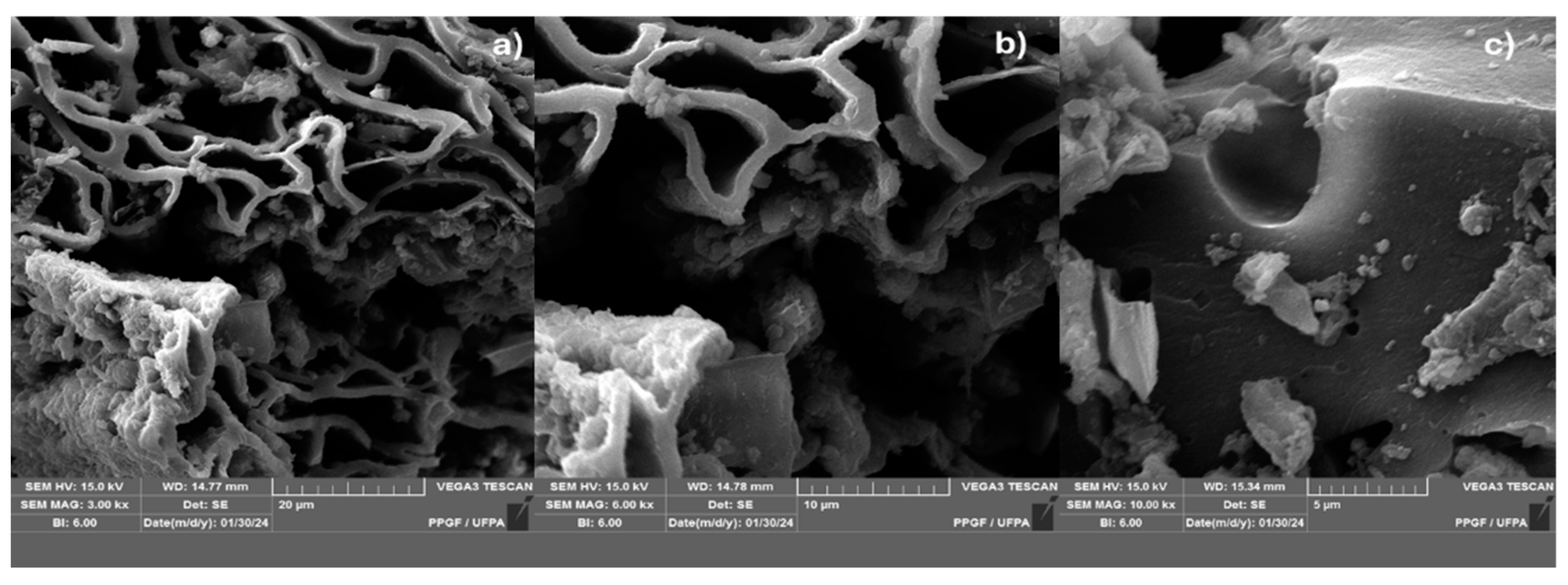 Preprints 102560 g008