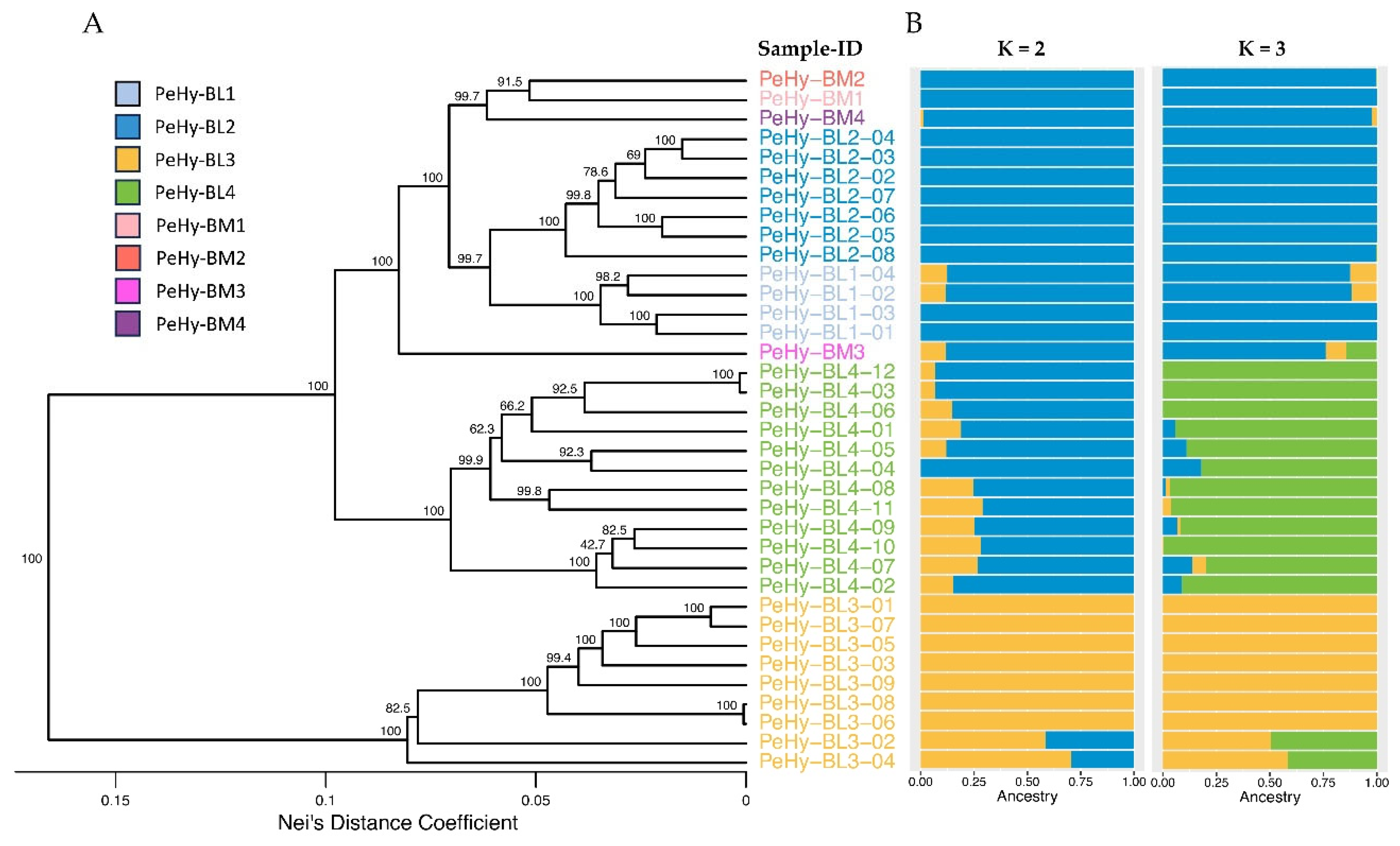 Preprints 190075 g001