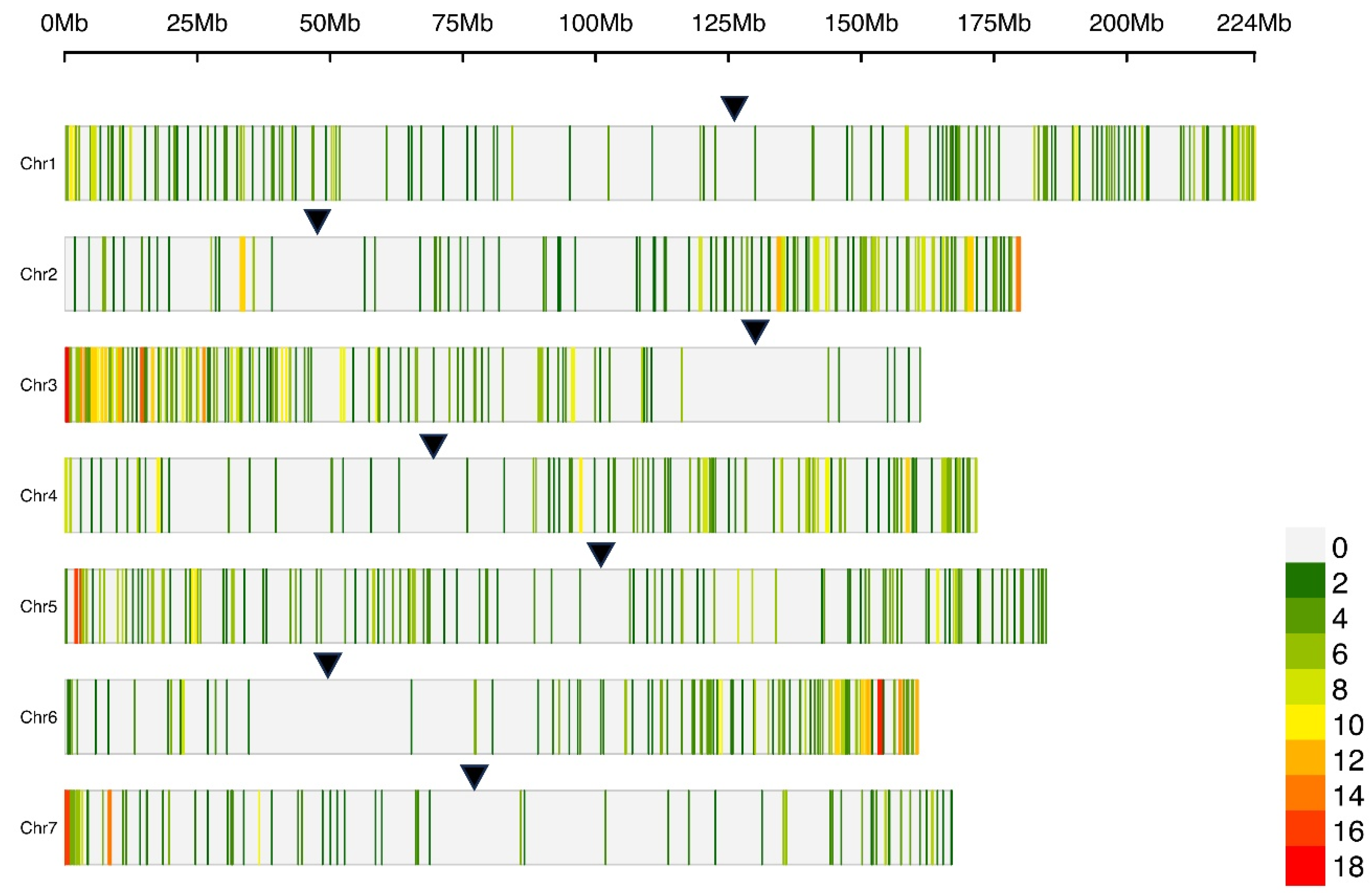 Preprints 190075 g004