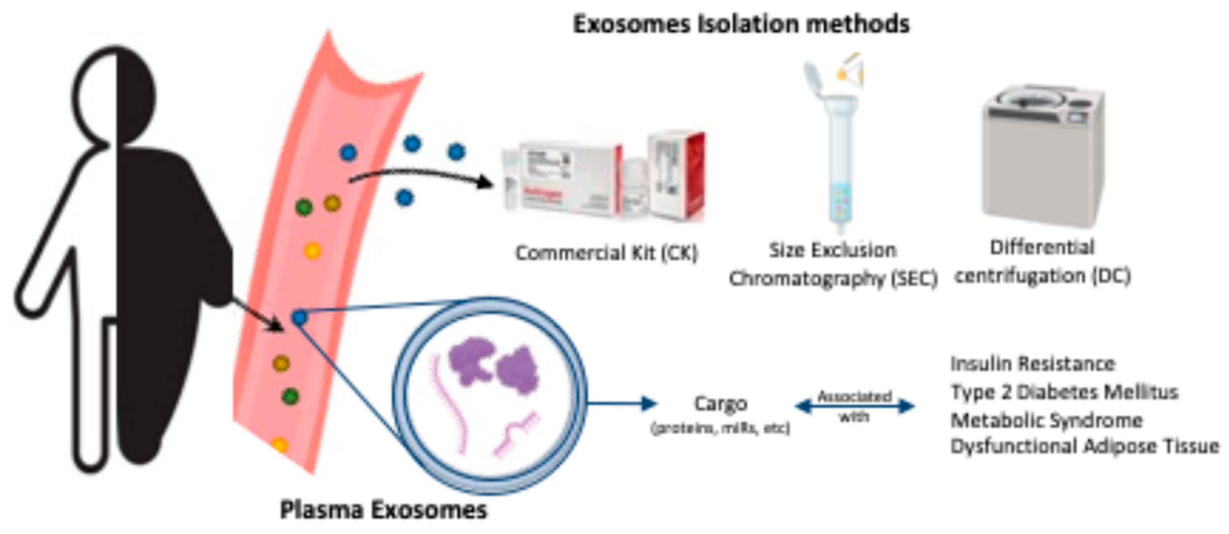 Preprints 147145 g001