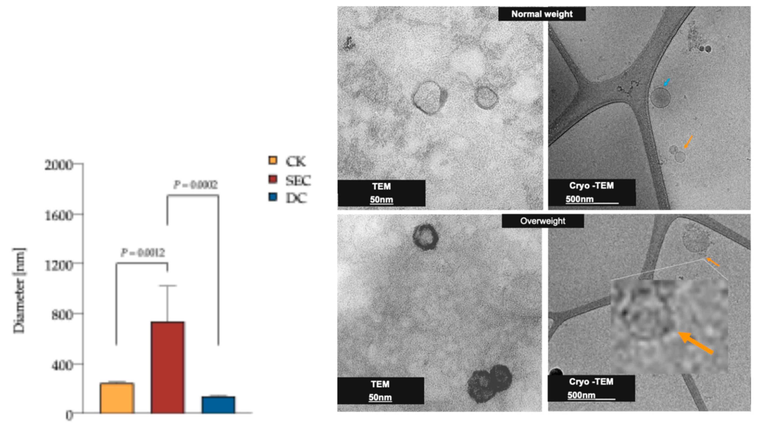 Preprints 147145 g003