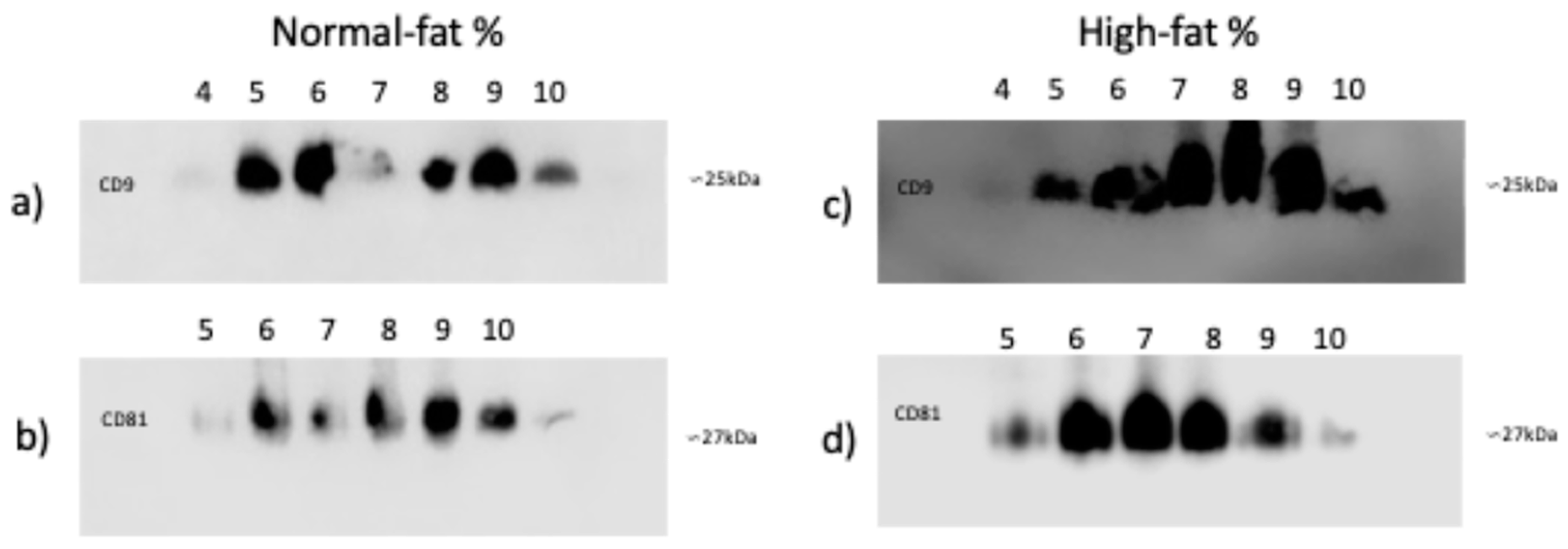 Preprints 147145 g004