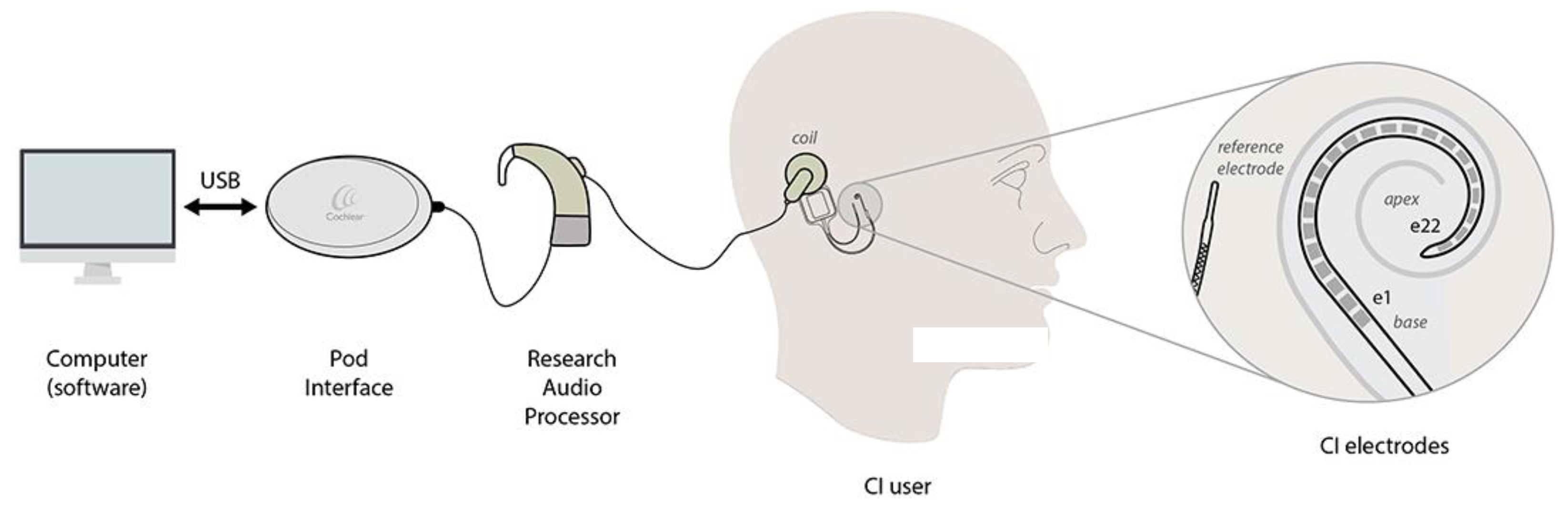Preprints 93111 g002