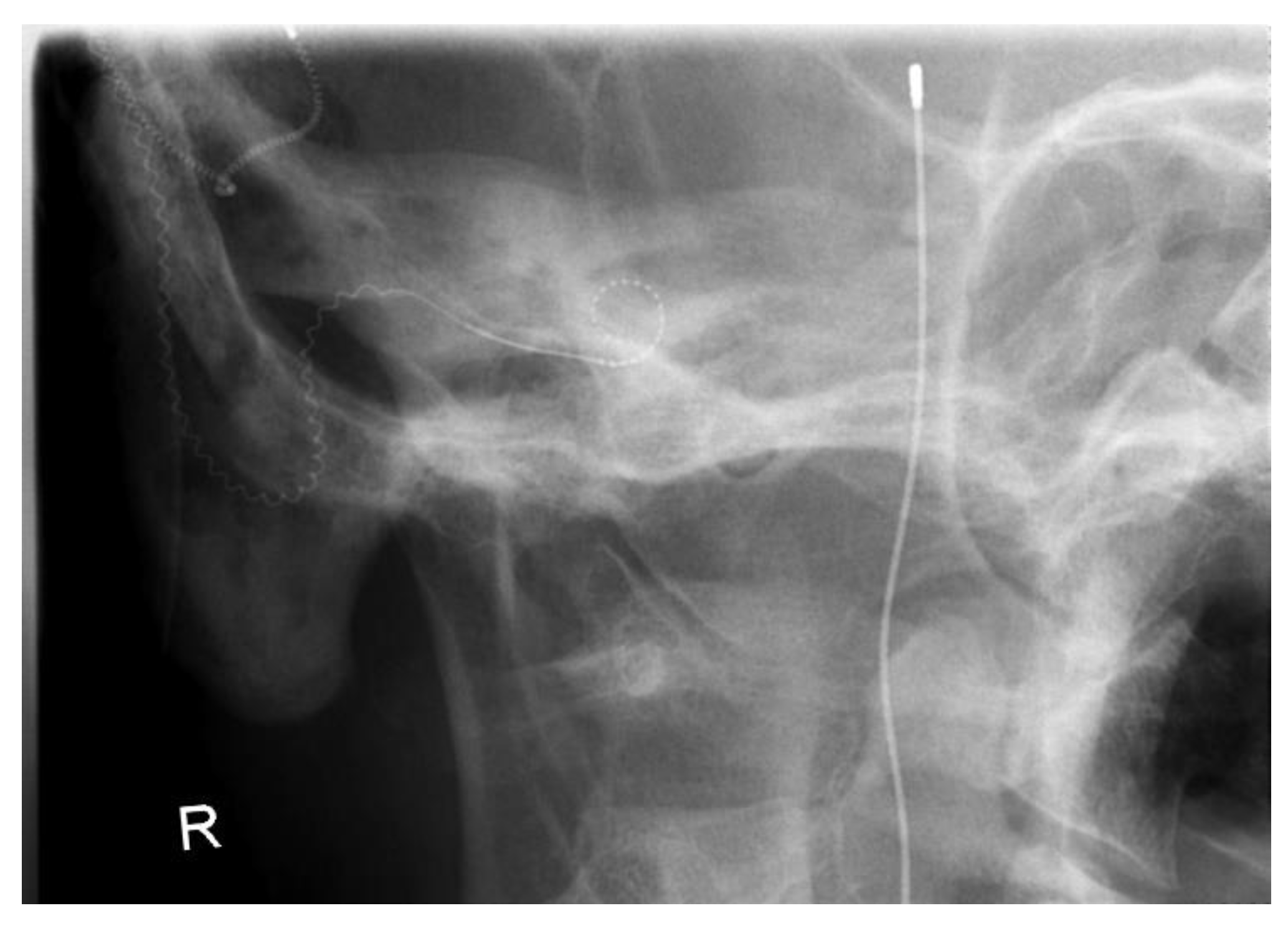 Preprints 93111 g003