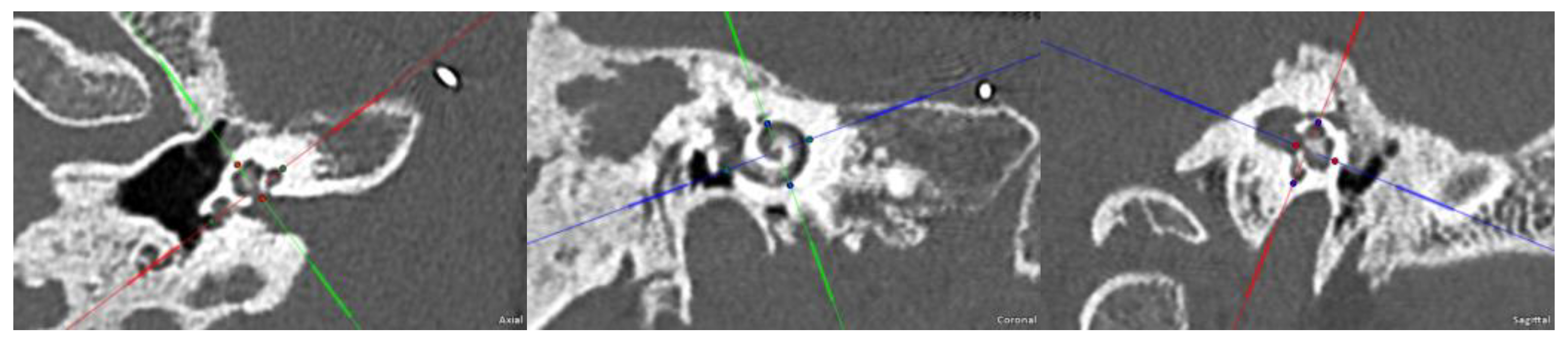 Preprints 93111 g004