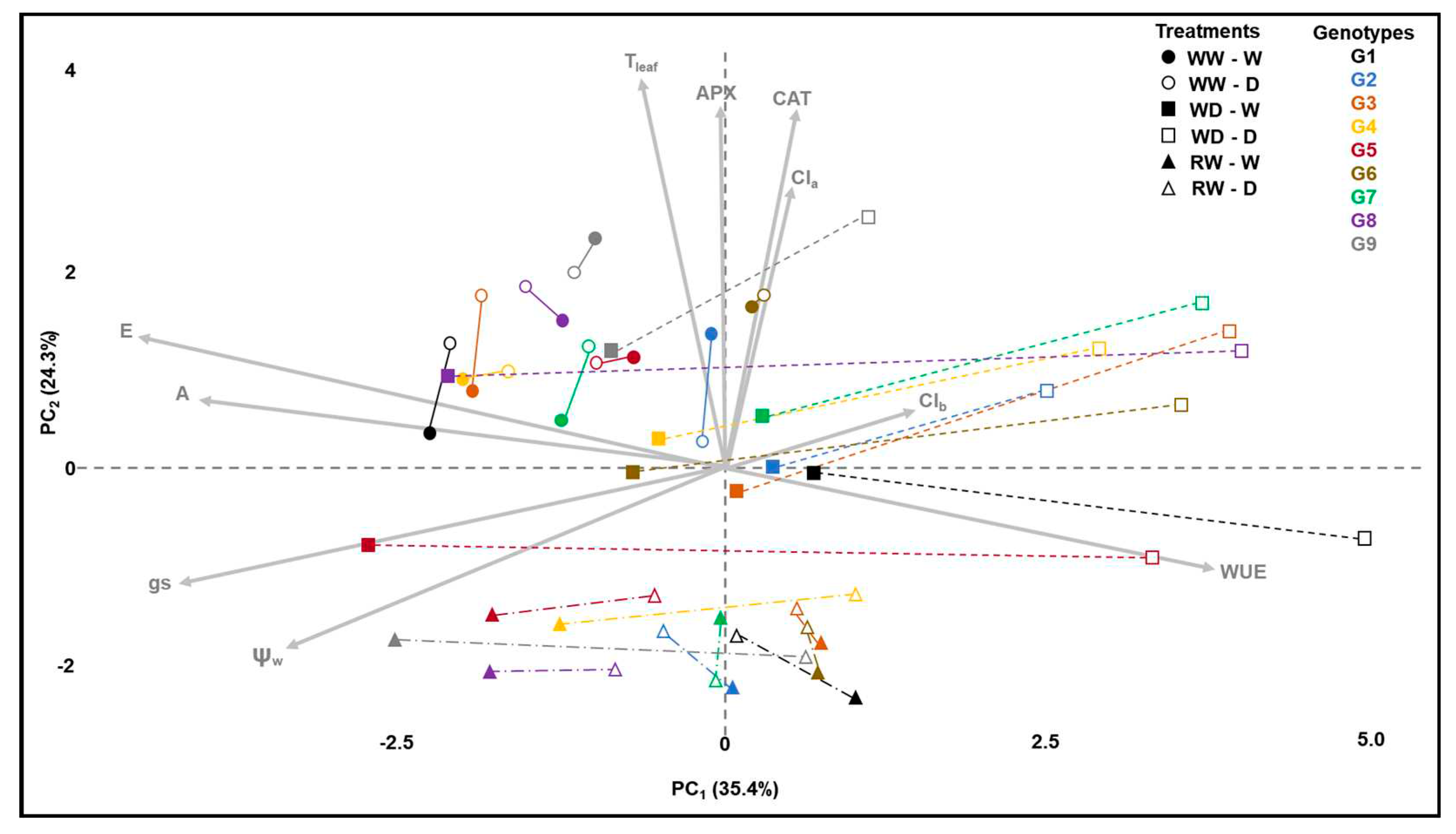Preprints 83755 g001