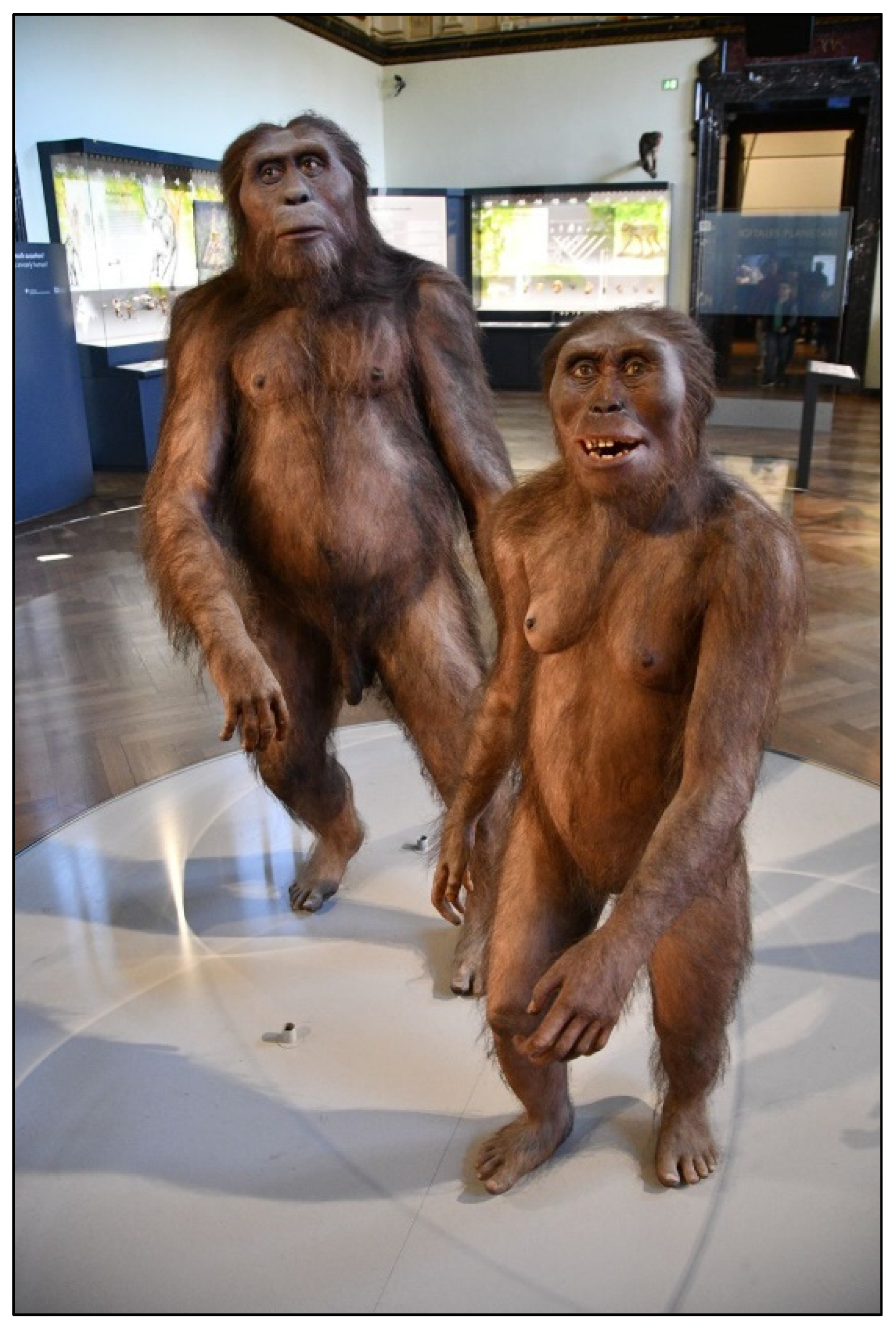 Preprints 169256 g003