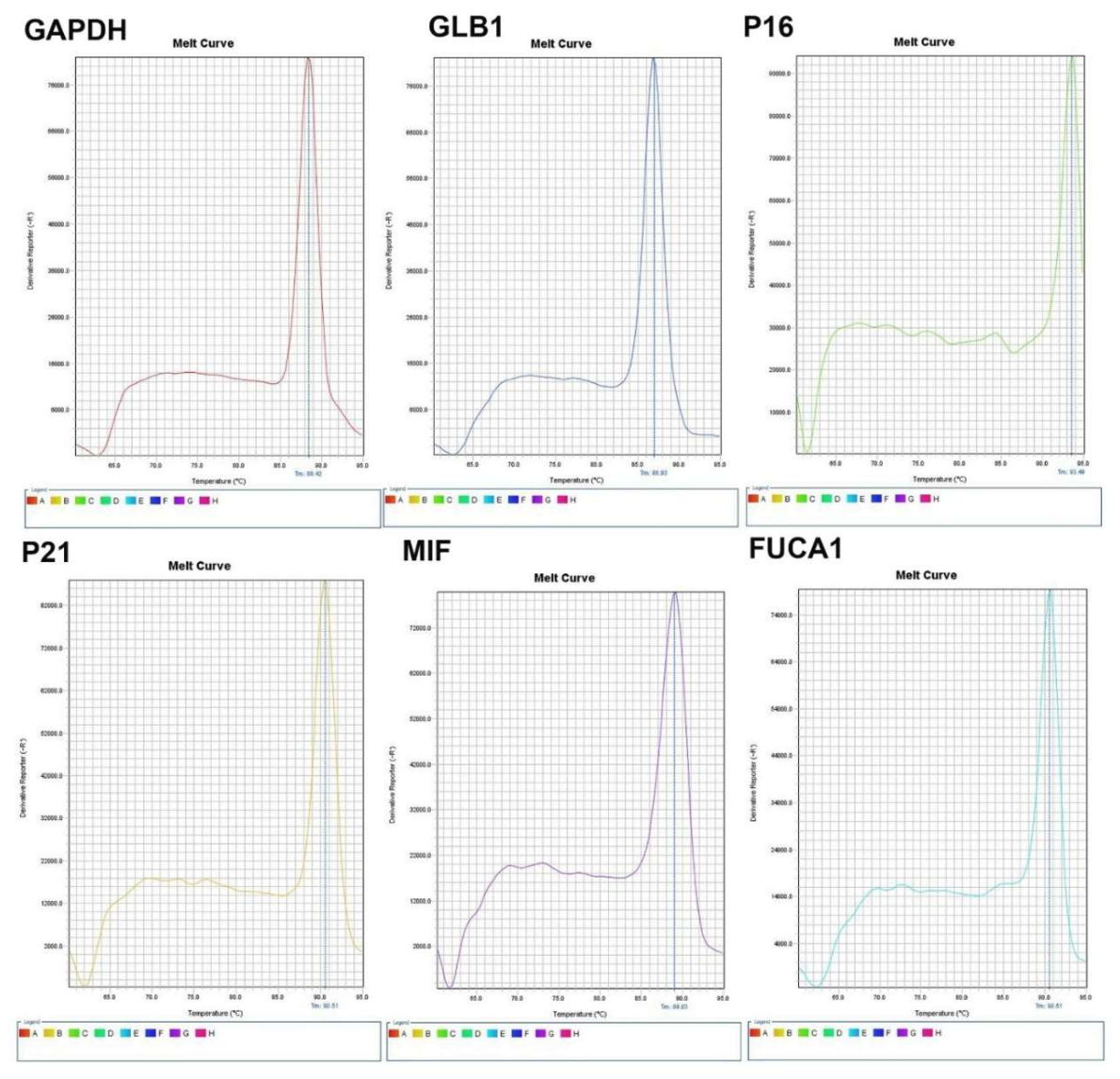 Preprints 224429 g001