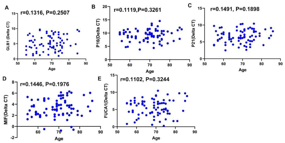 Preprints 224429 g003