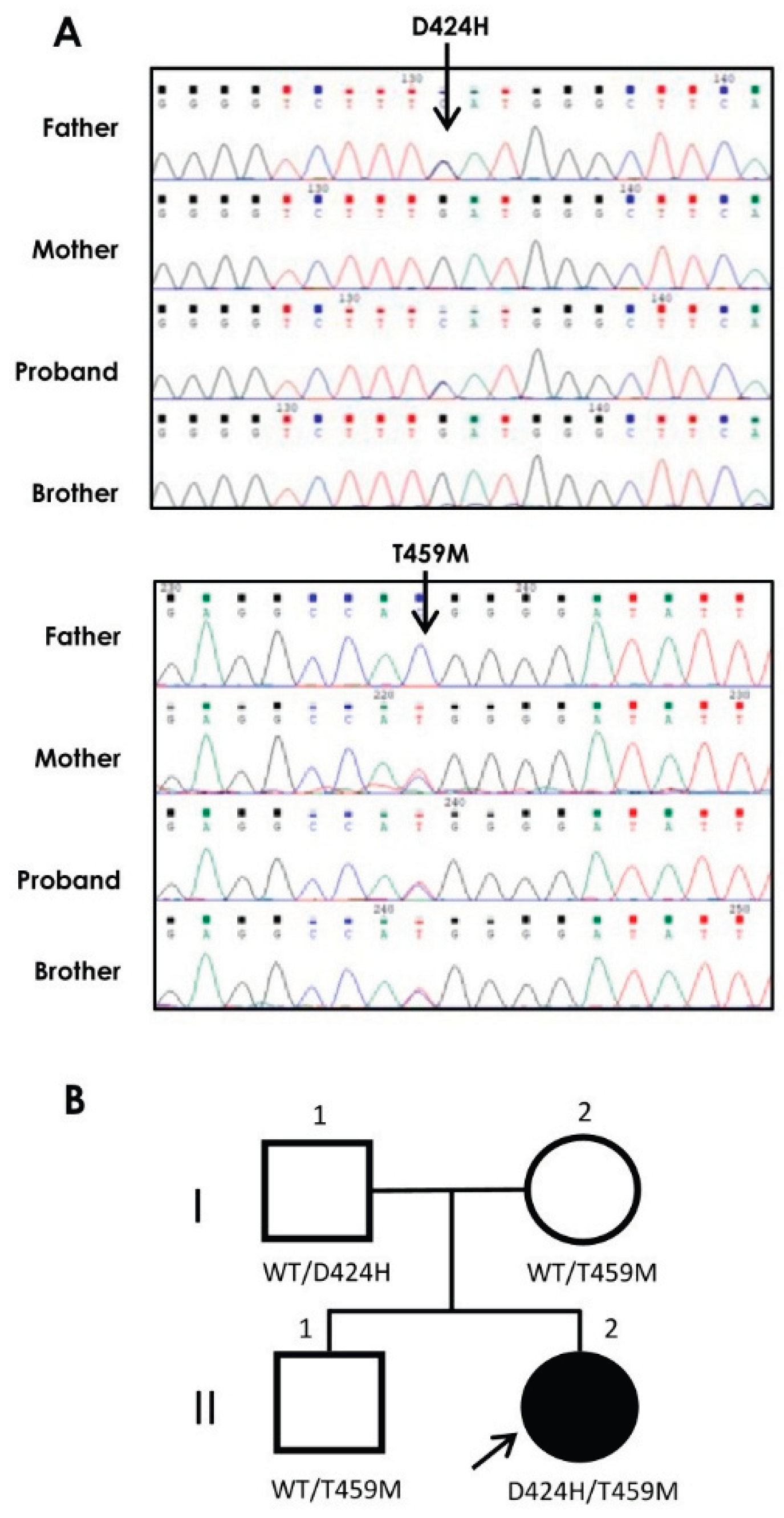 Preprints 216605 g001 Preprints 216605 g001