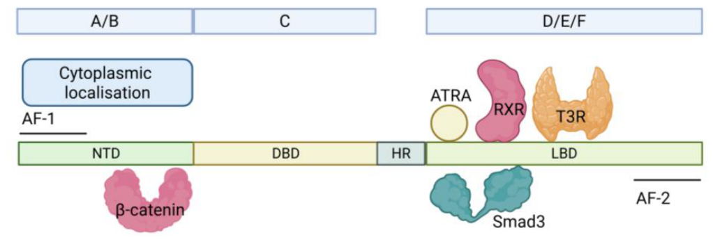 Preprints 223246 g001