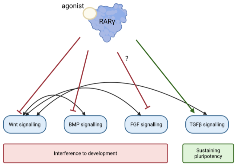 Preprints 223246 g004