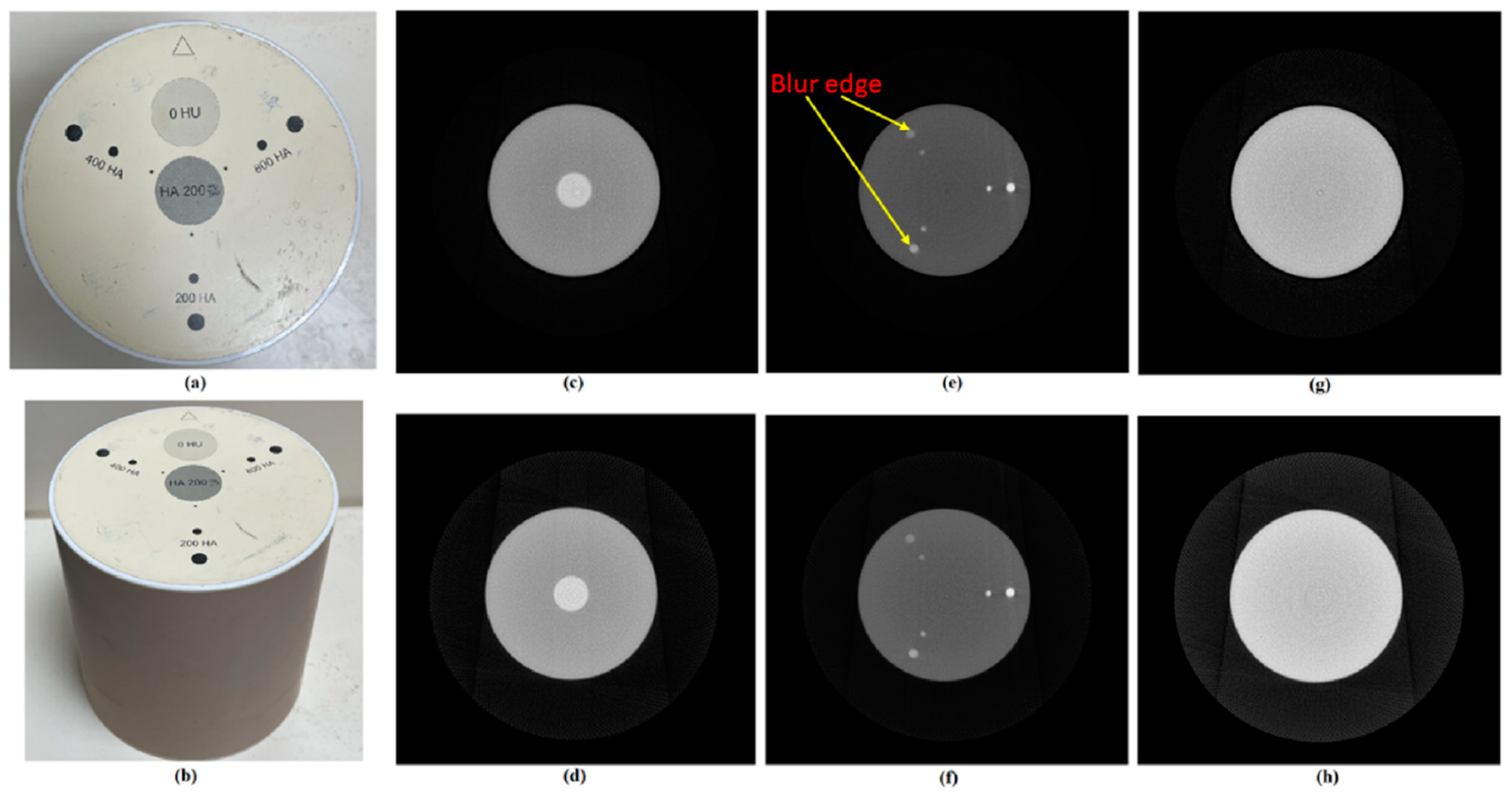 Preprints 147053 g008