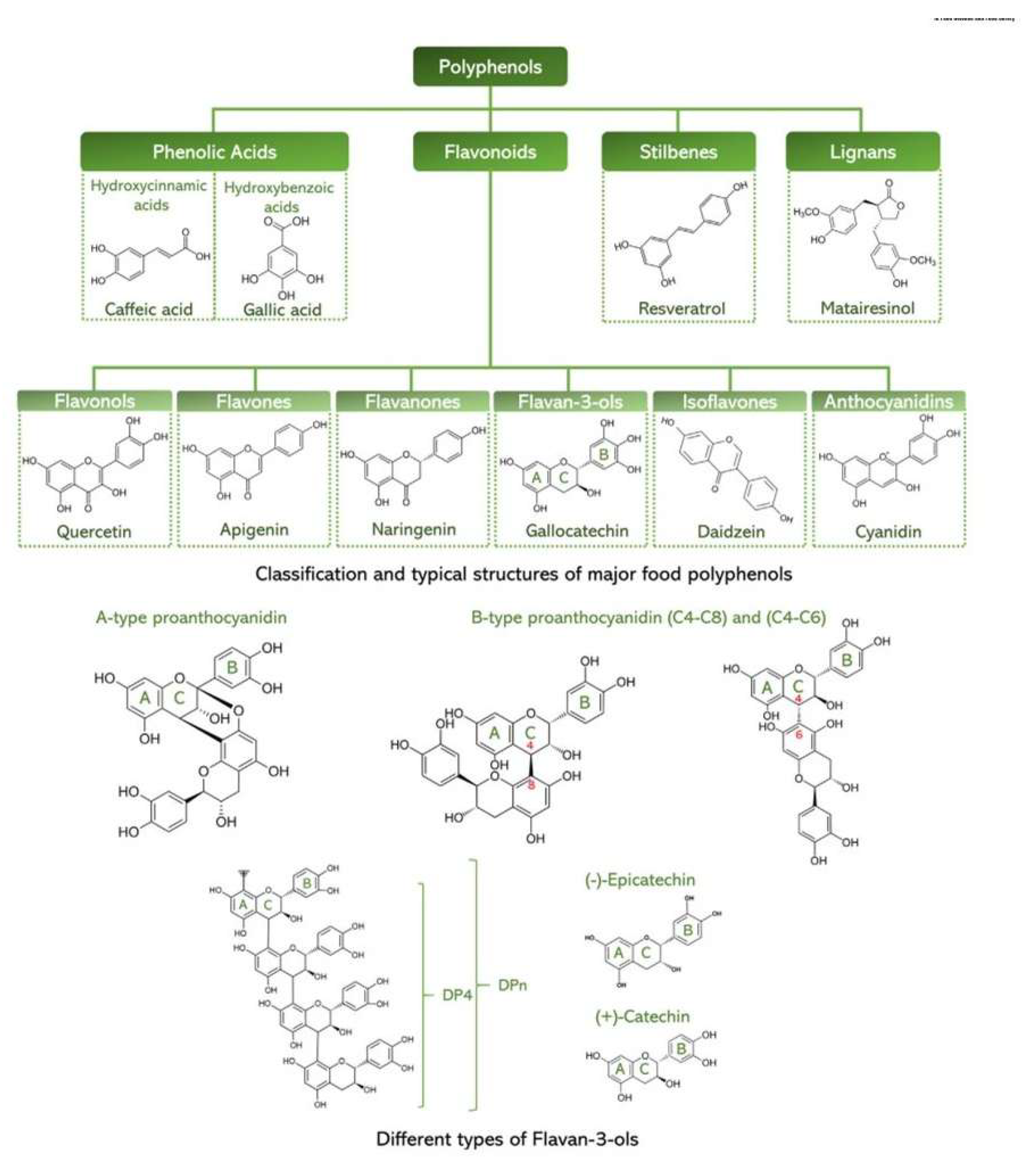 Preprints 214565 g001