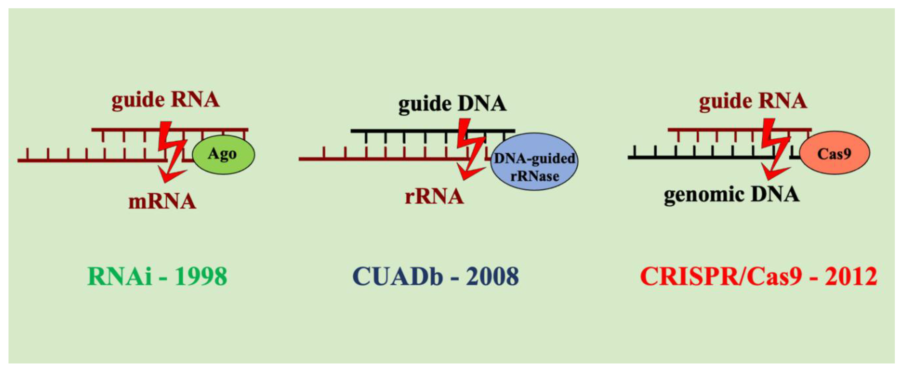 Preprints 172534 g001
