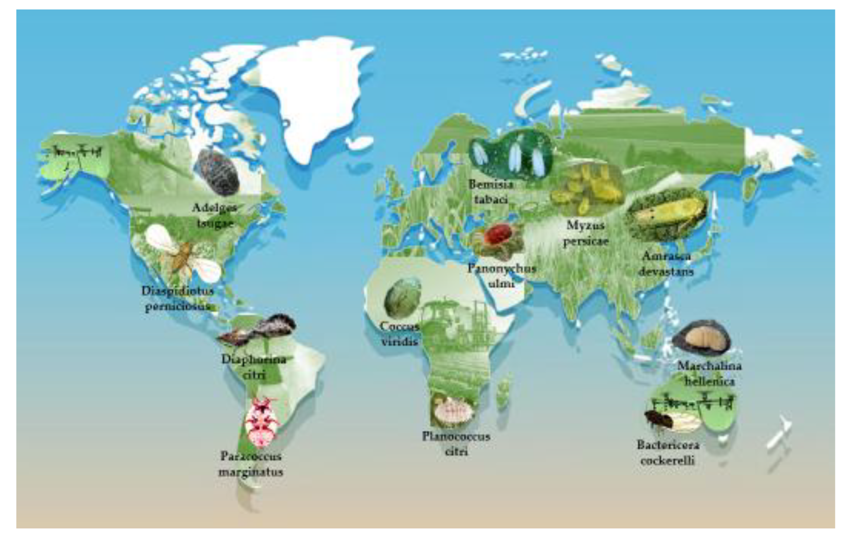 Preprints 172534 g002