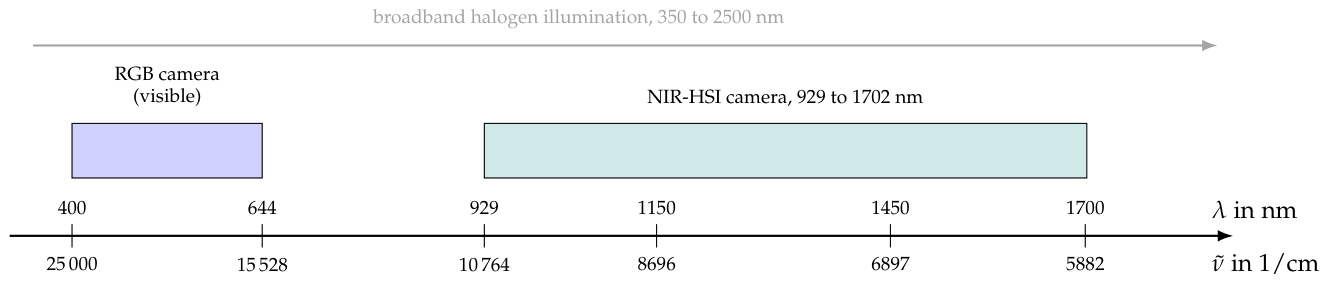 Preprints 232906 g006
