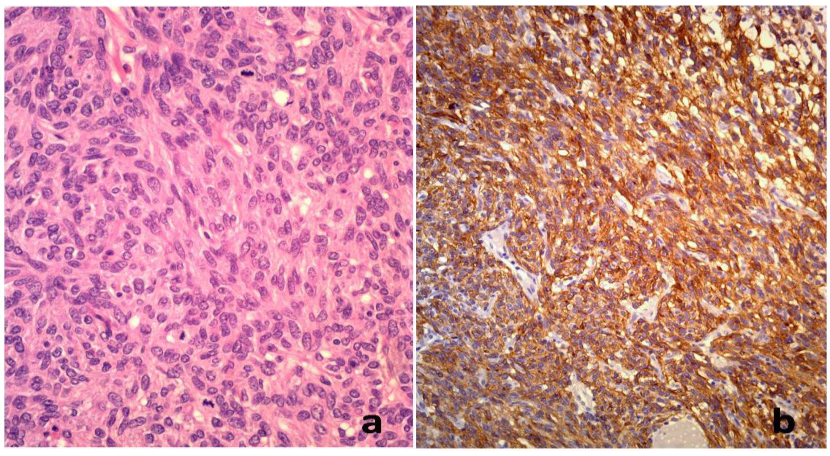 Preprints 157765 g002