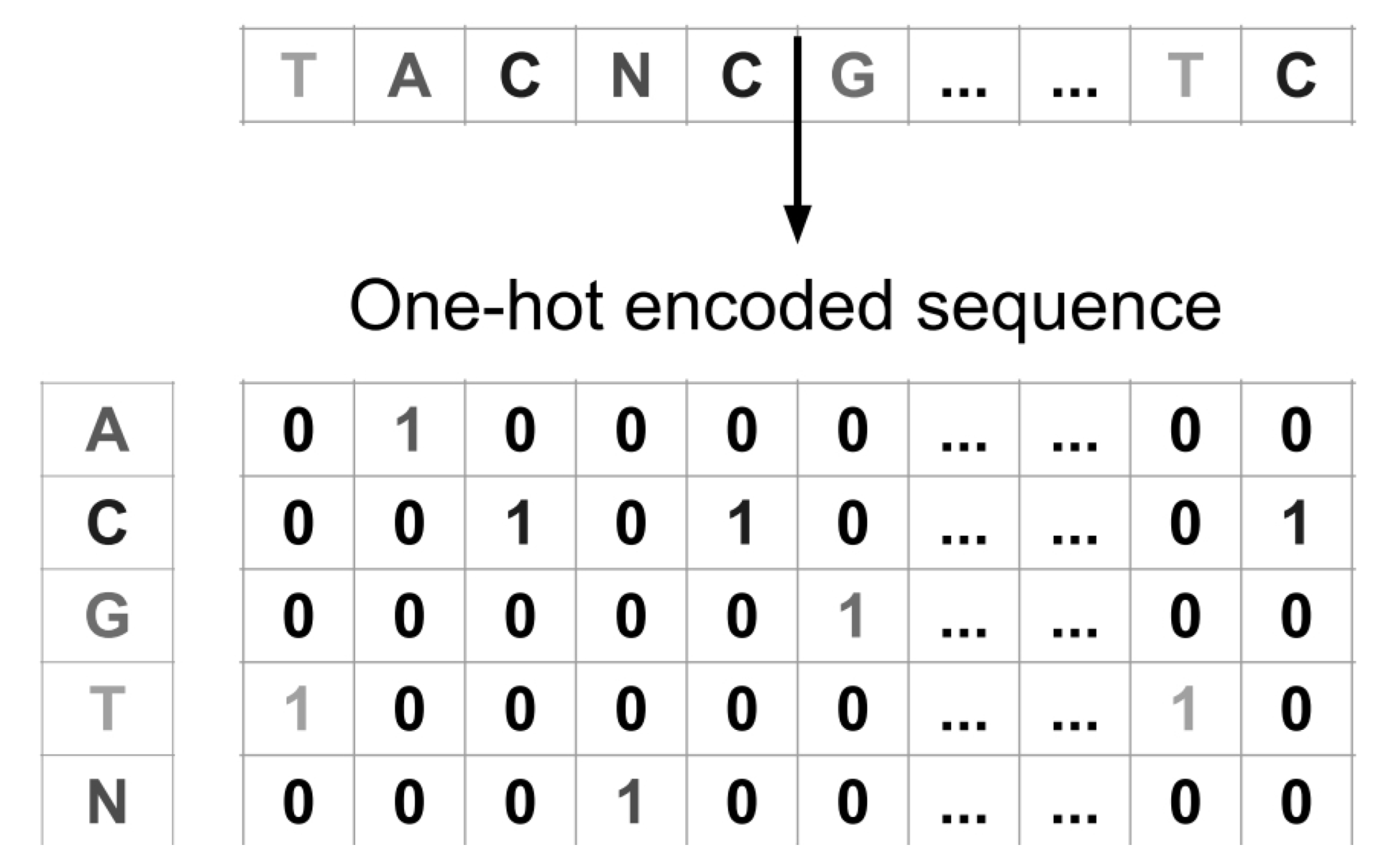 Preprints 199517 g001