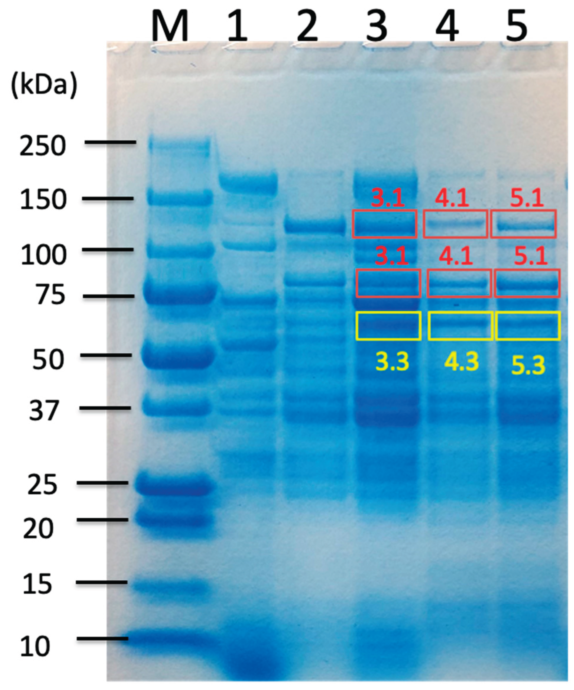Preprints 184762 g002