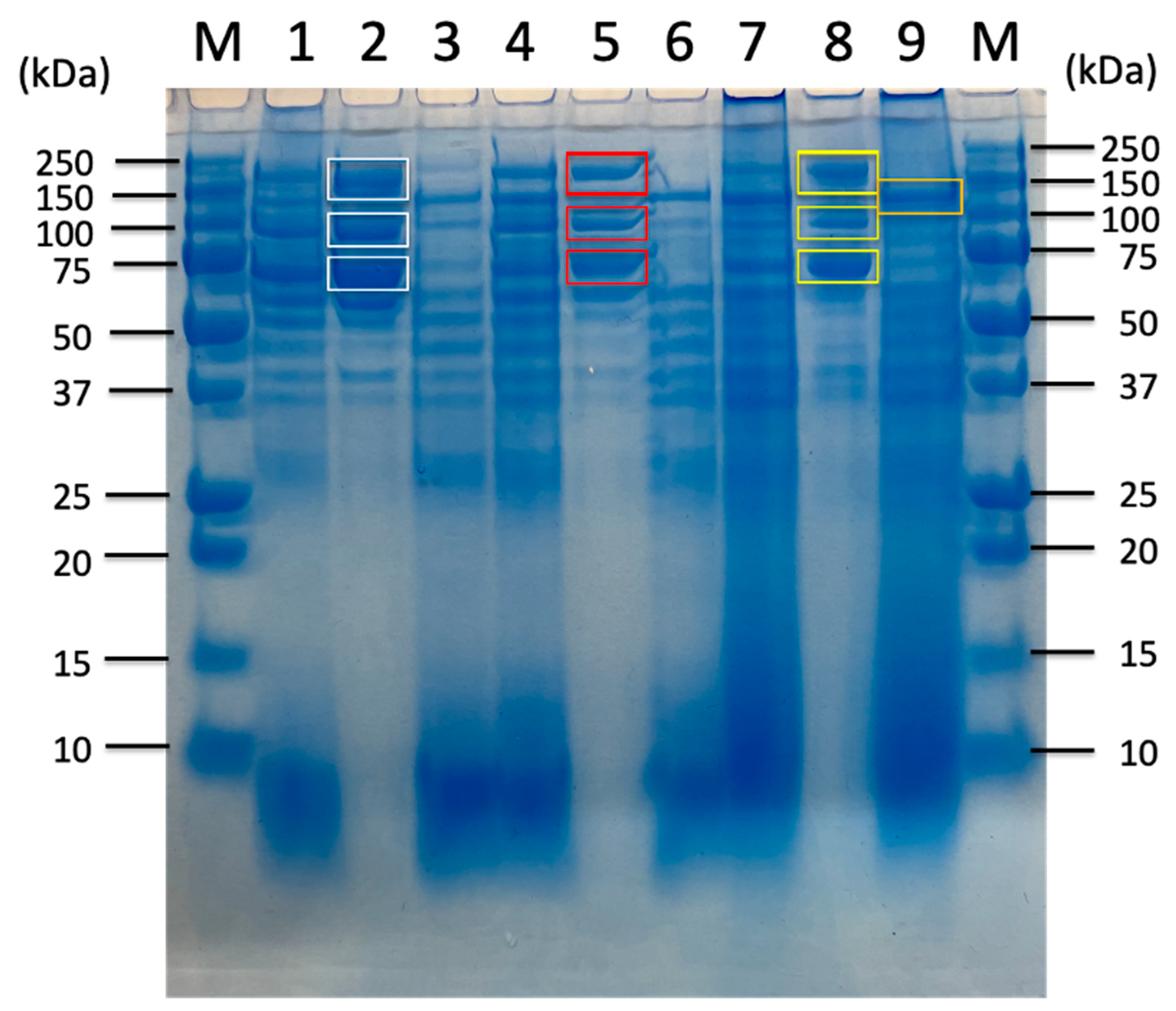 Preprints 184762 g003