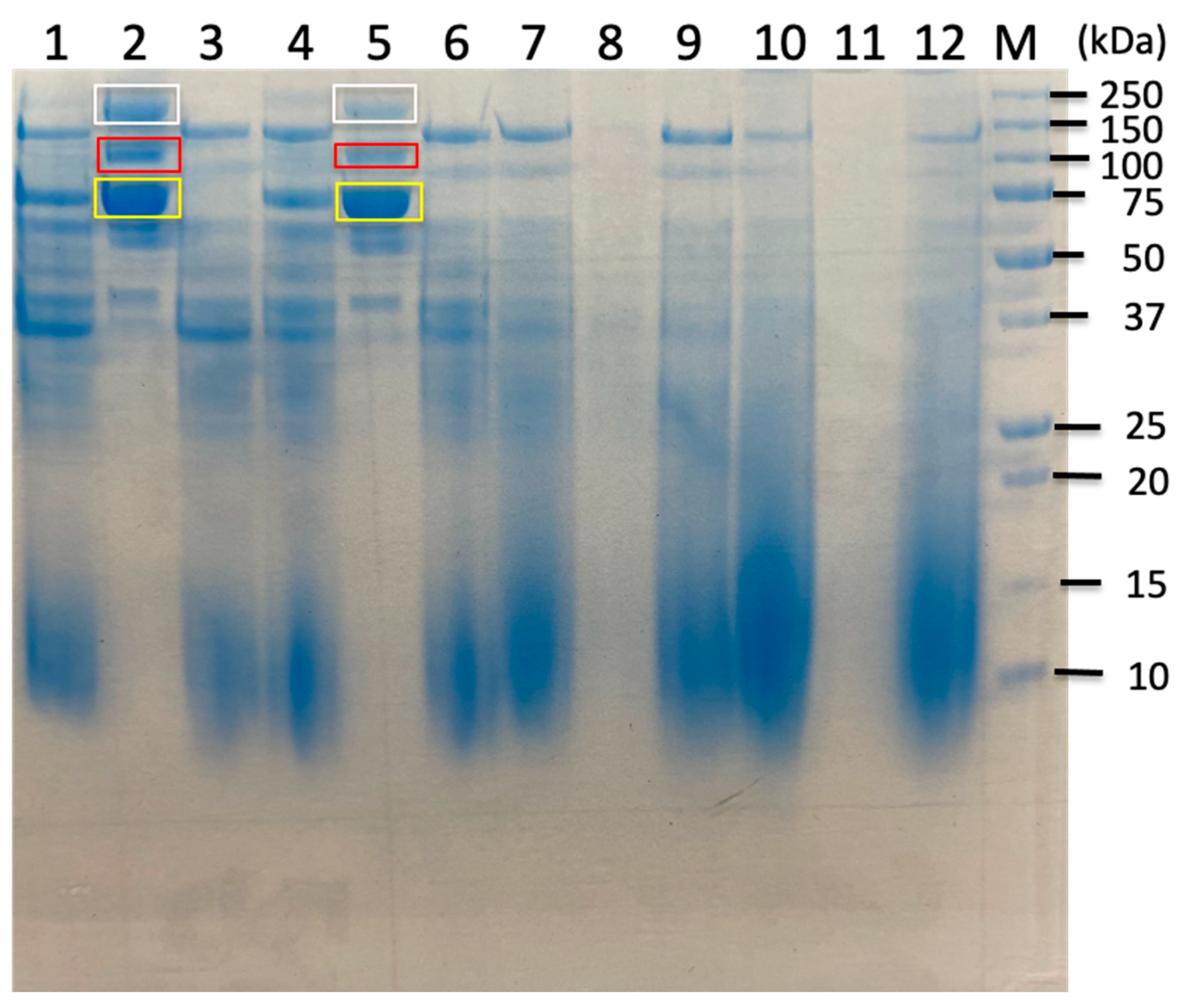 Preprints 184762 g004