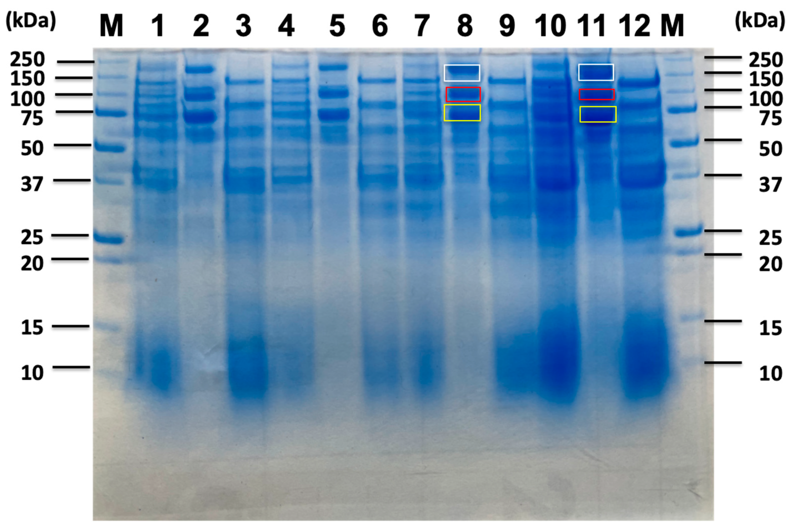Preprints 184762 g005
