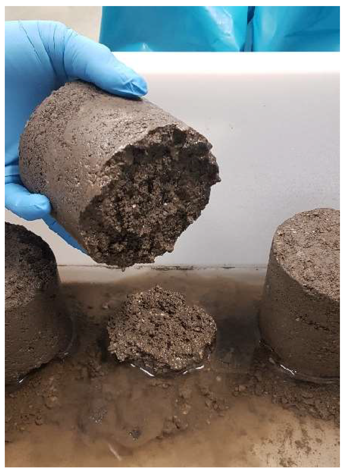 Preprints 155571 g004