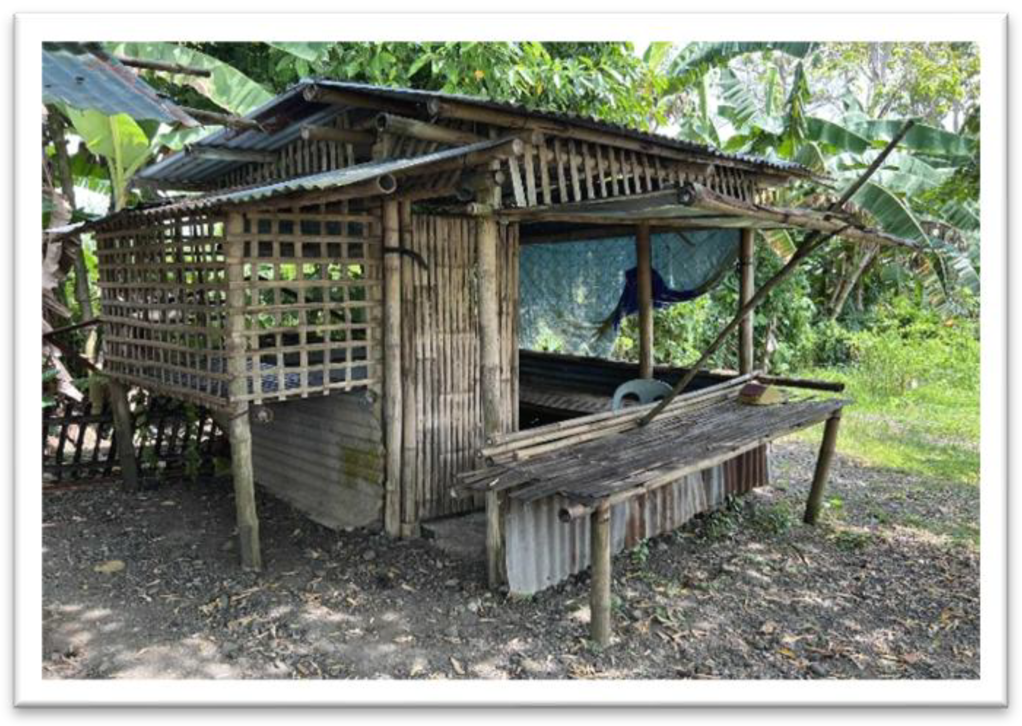 Preprints 190915 g001