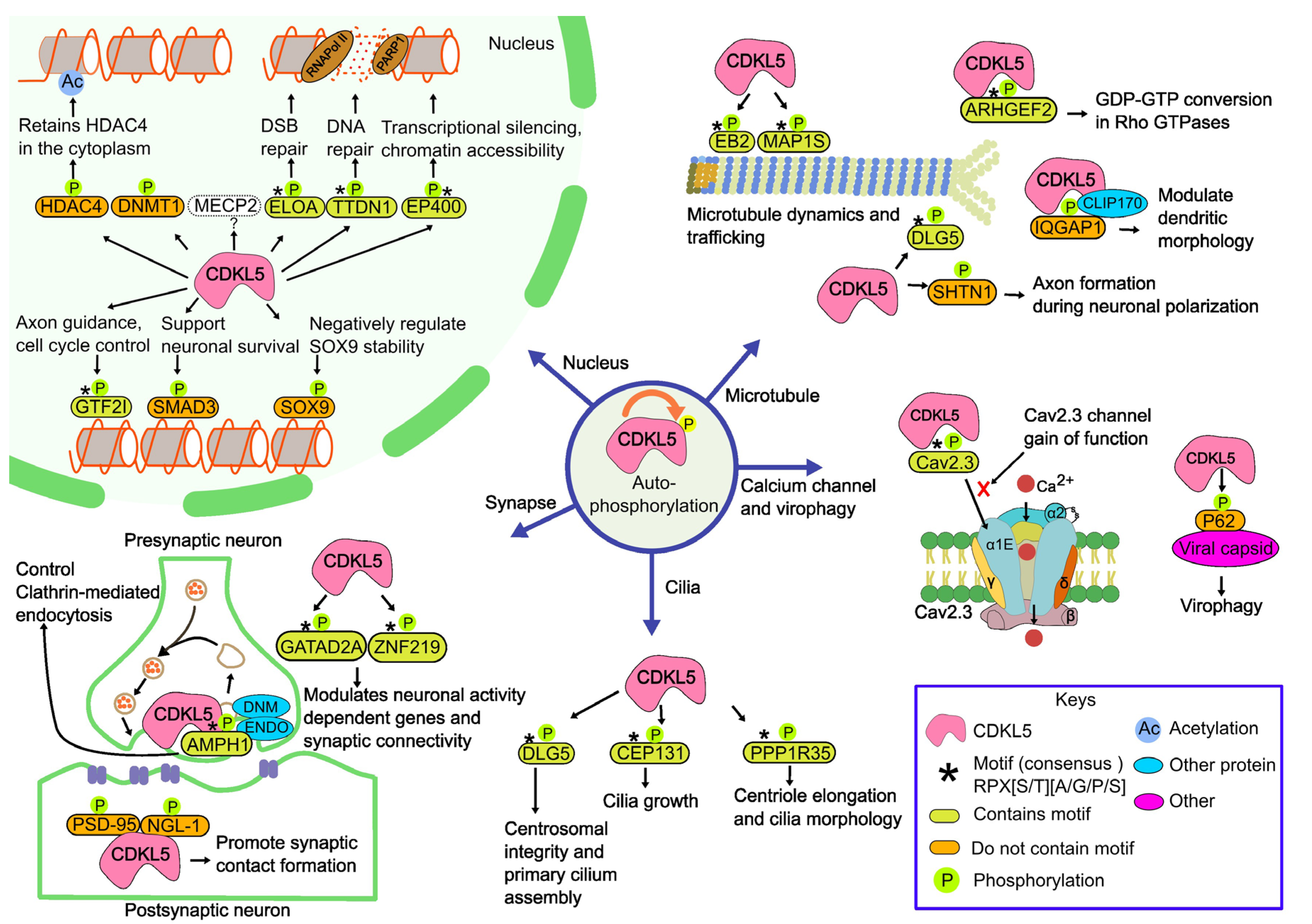 Preprints 172664 g002